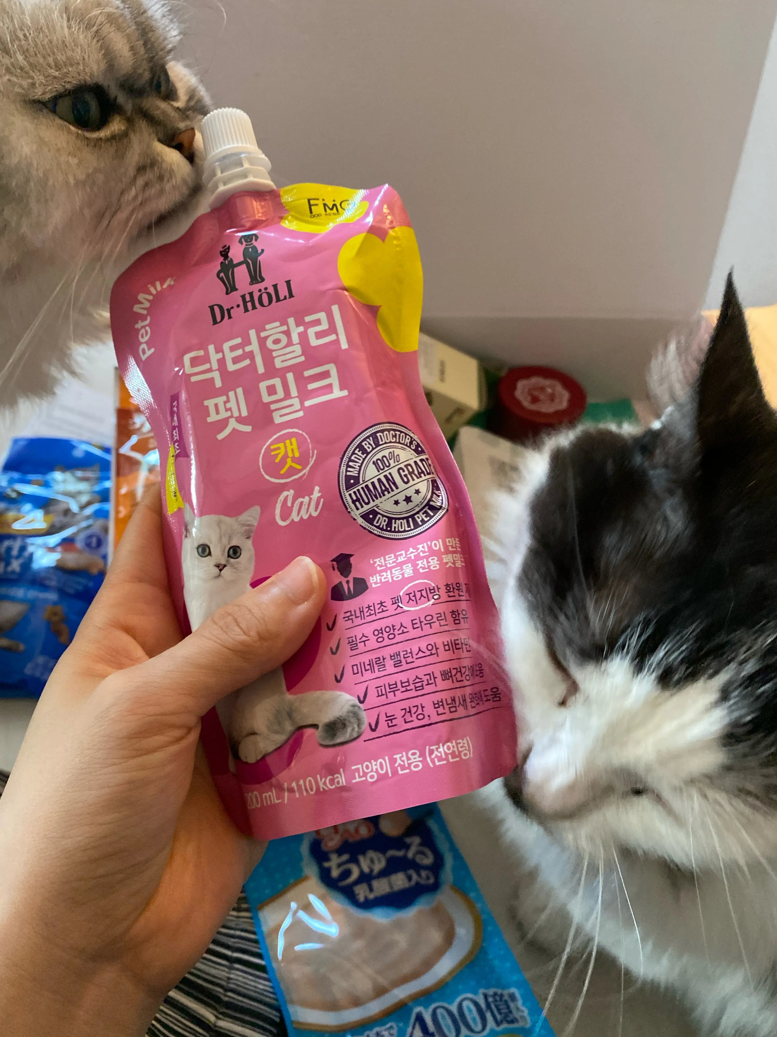 4번째 파일