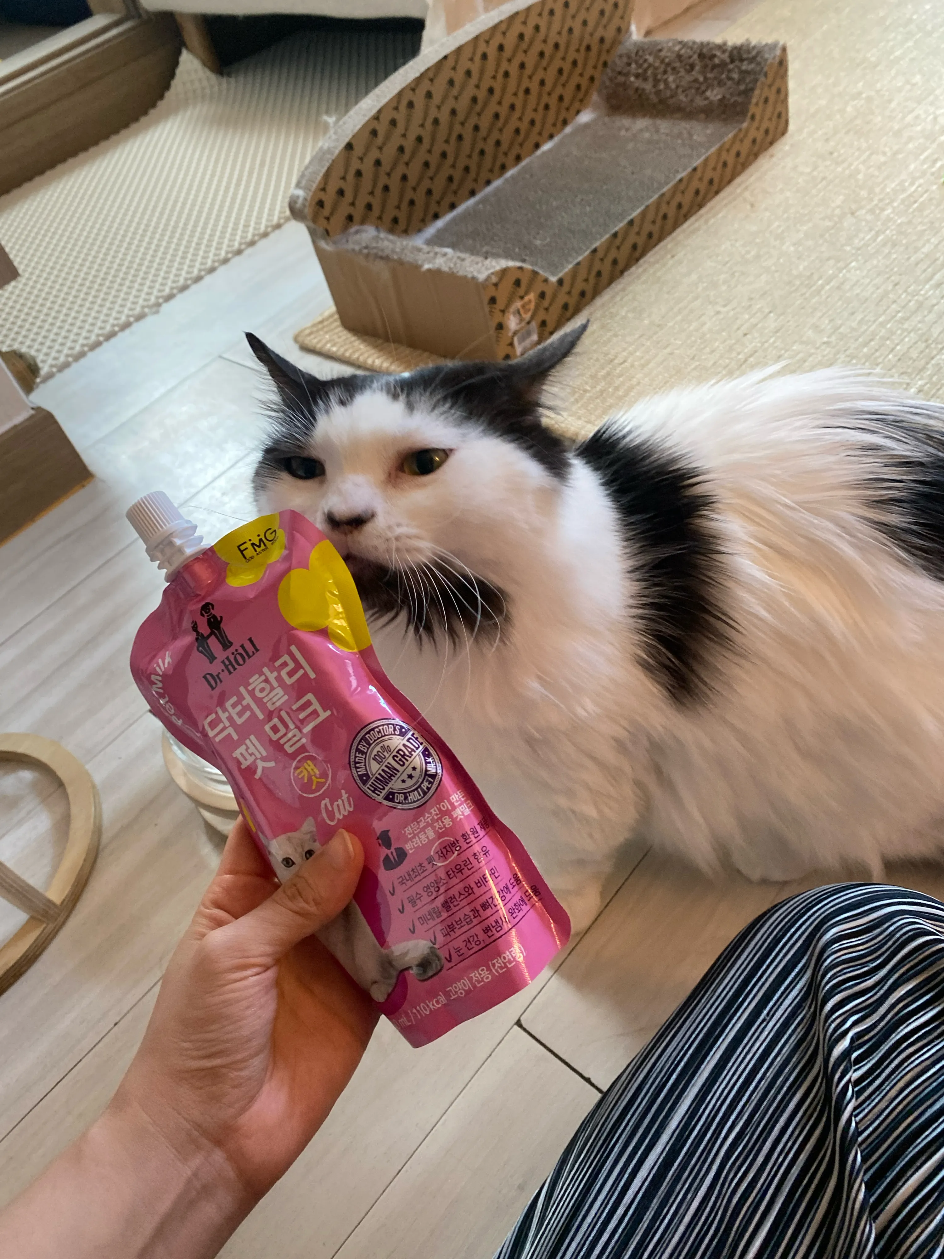 3번째 파일