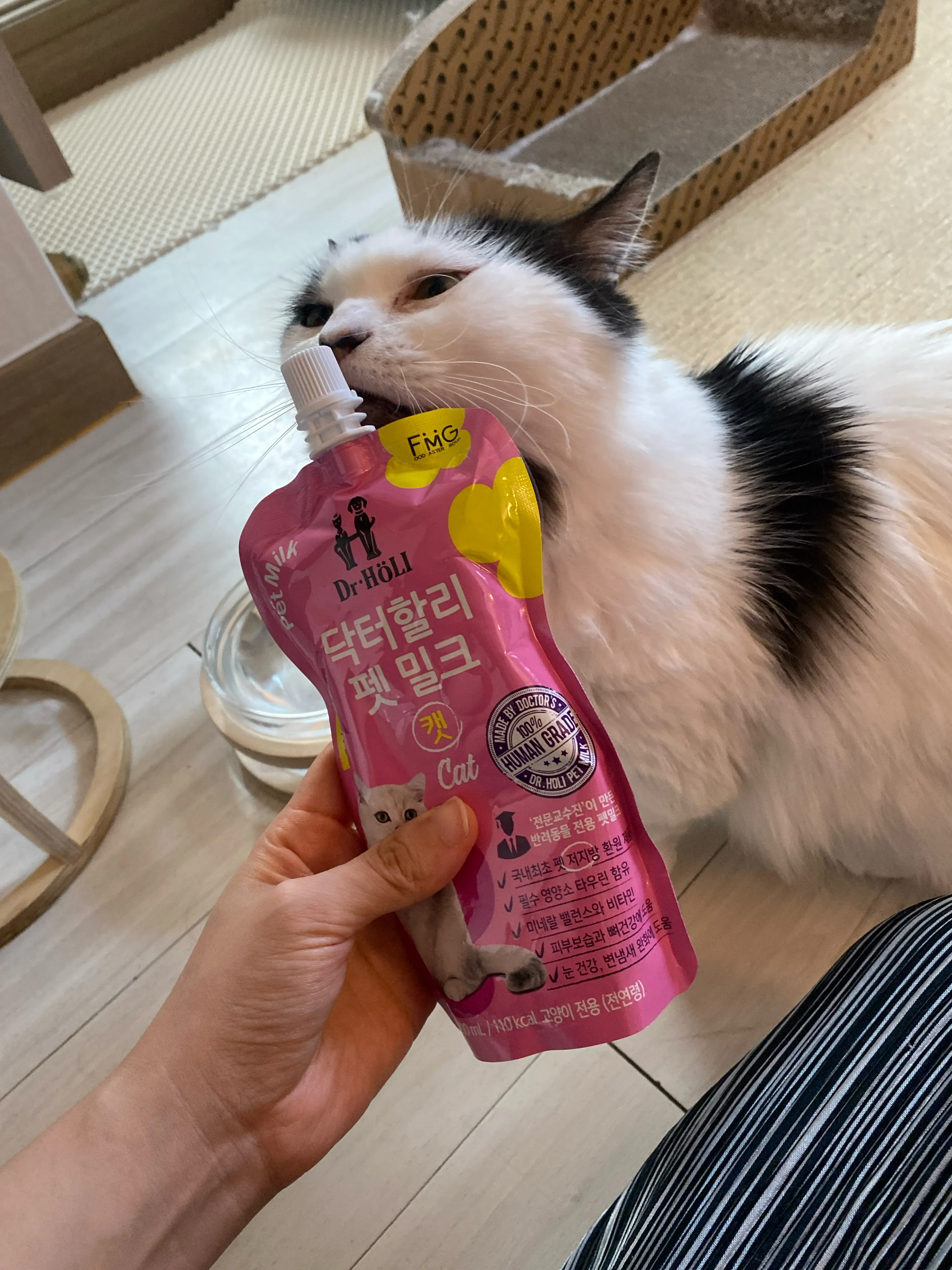 2번째 파일
