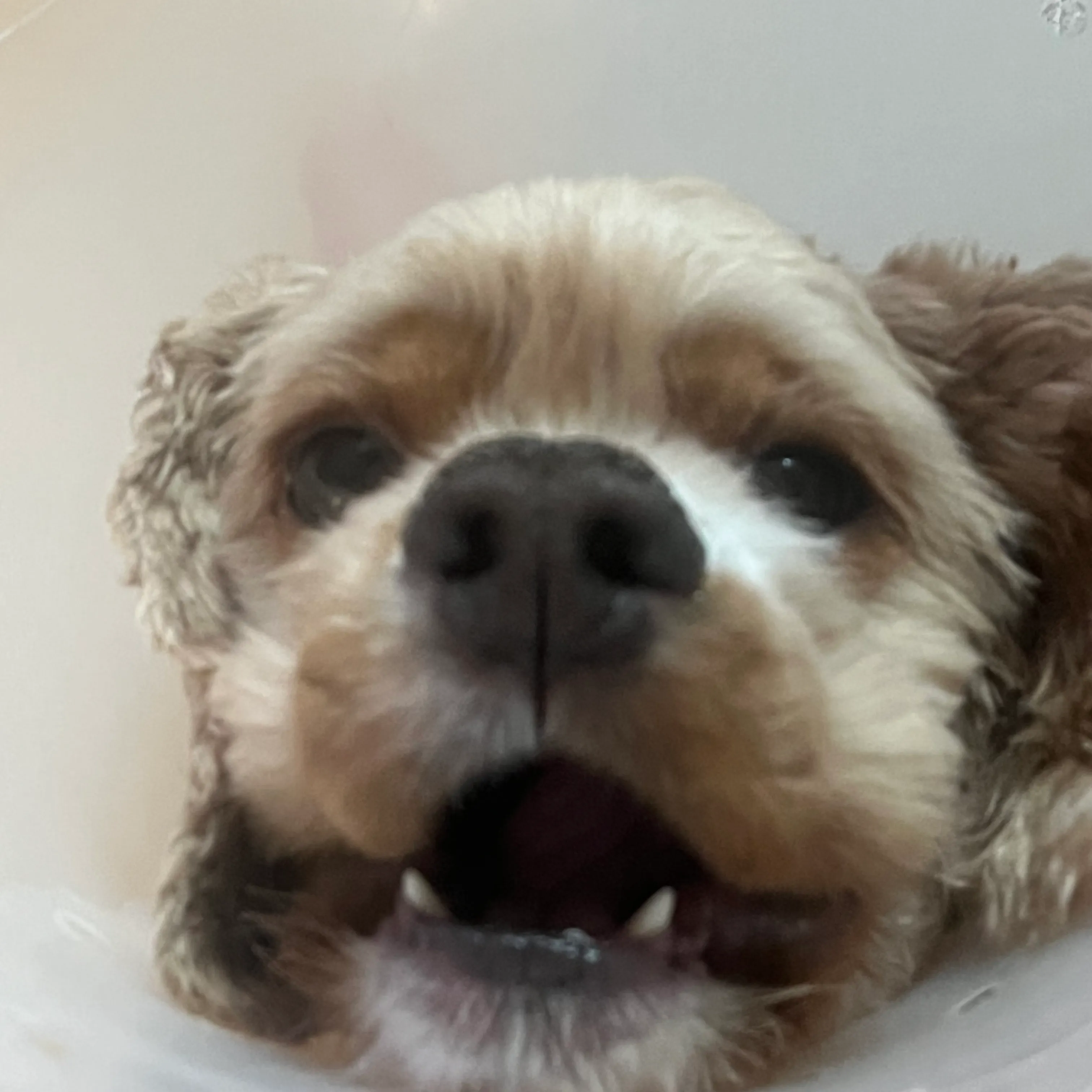 1번째 파일