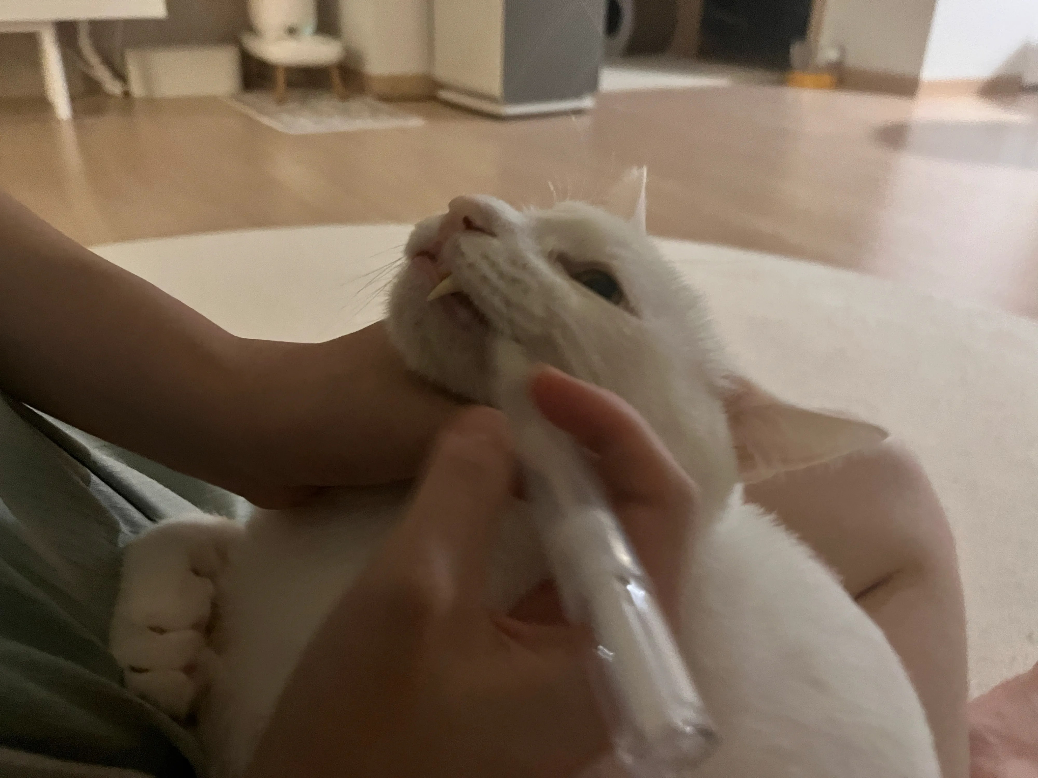 4번째 파일