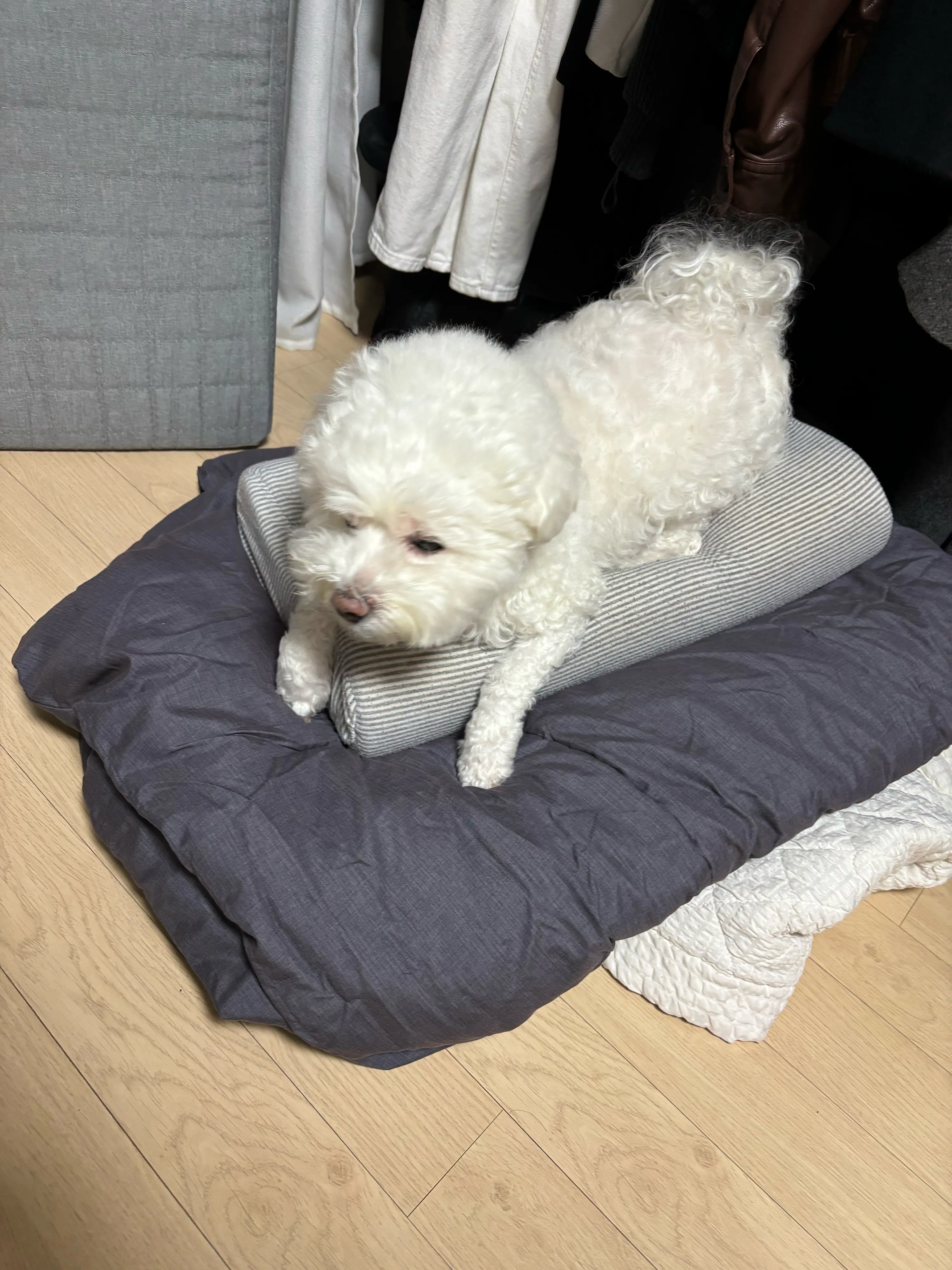 1번째 파일
