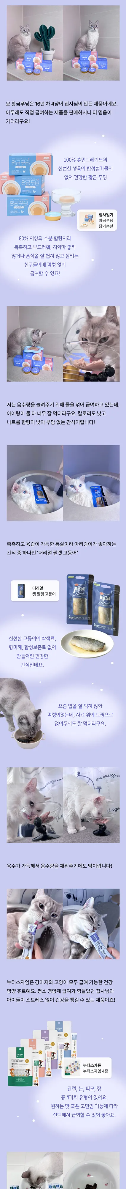 2번째 파일