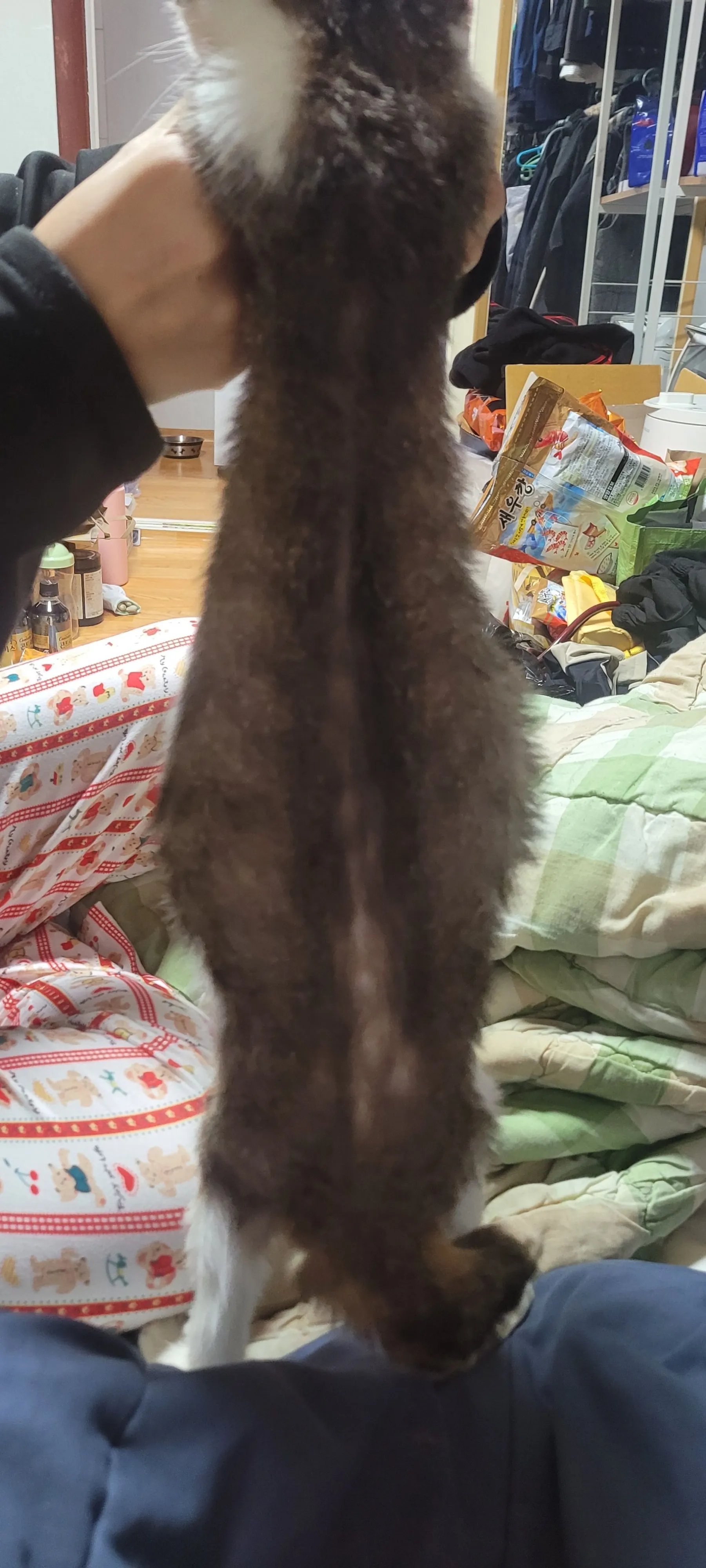 2번째 파일