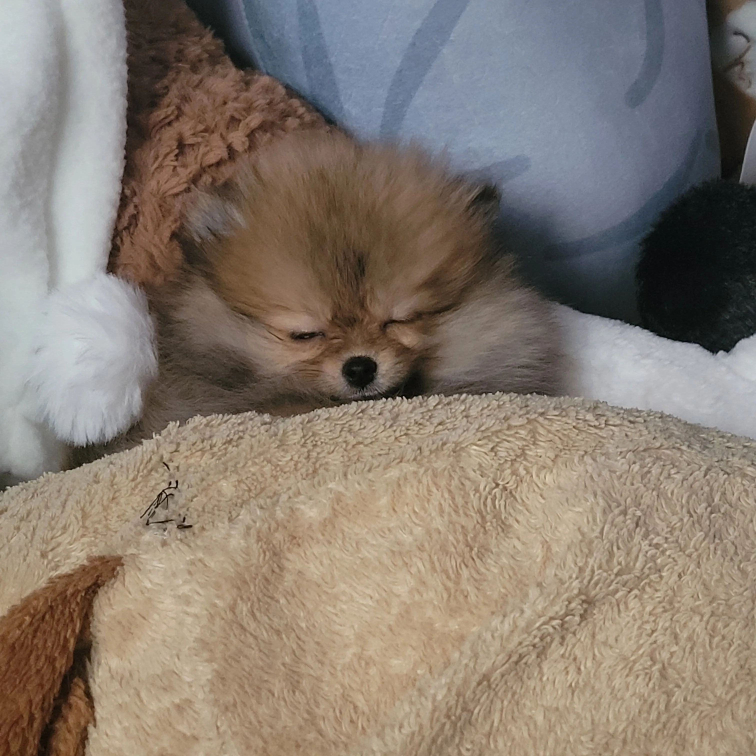 1번째 파일
