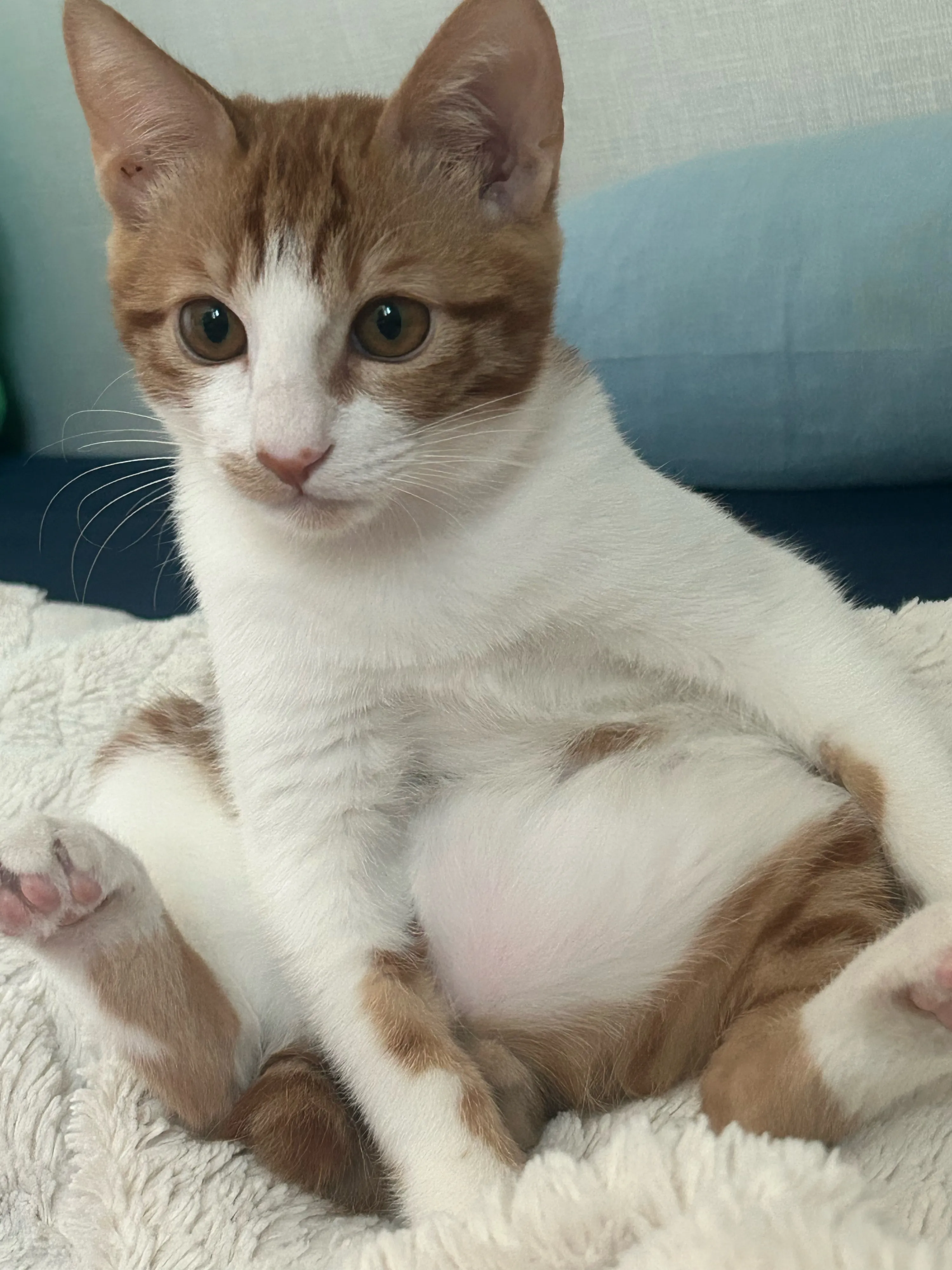 1번째 파일