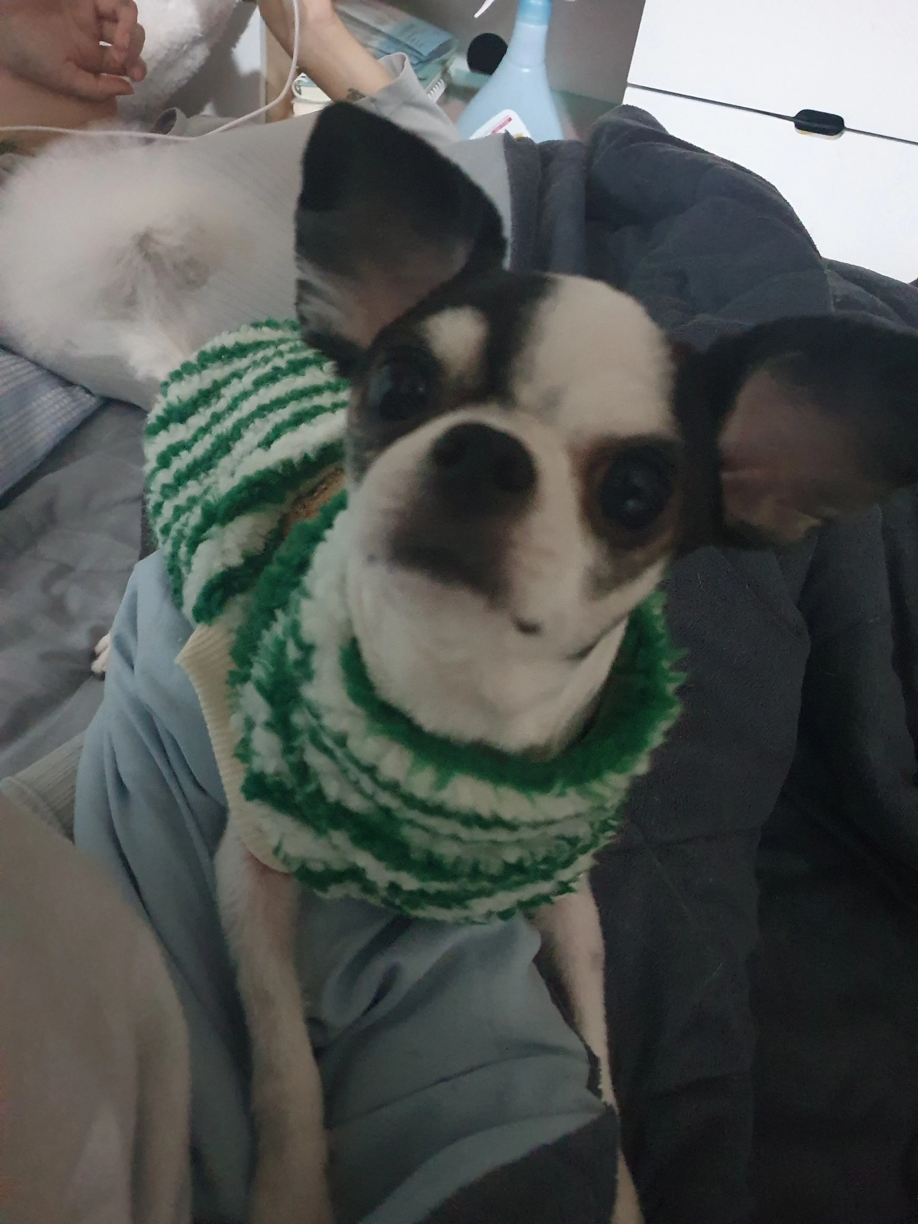 1번째 파일