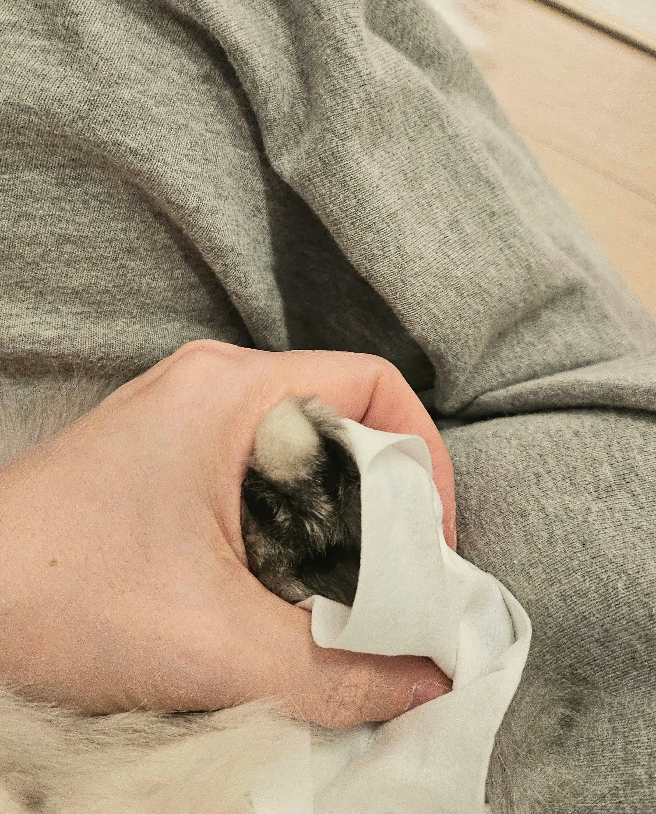 4번째 파일