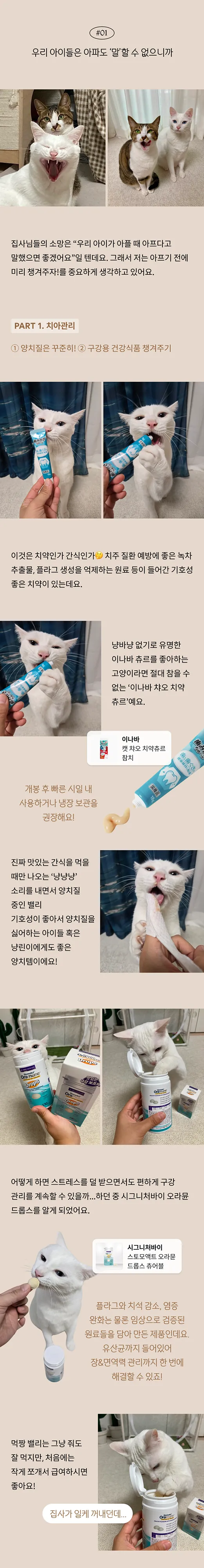 2번째 파일