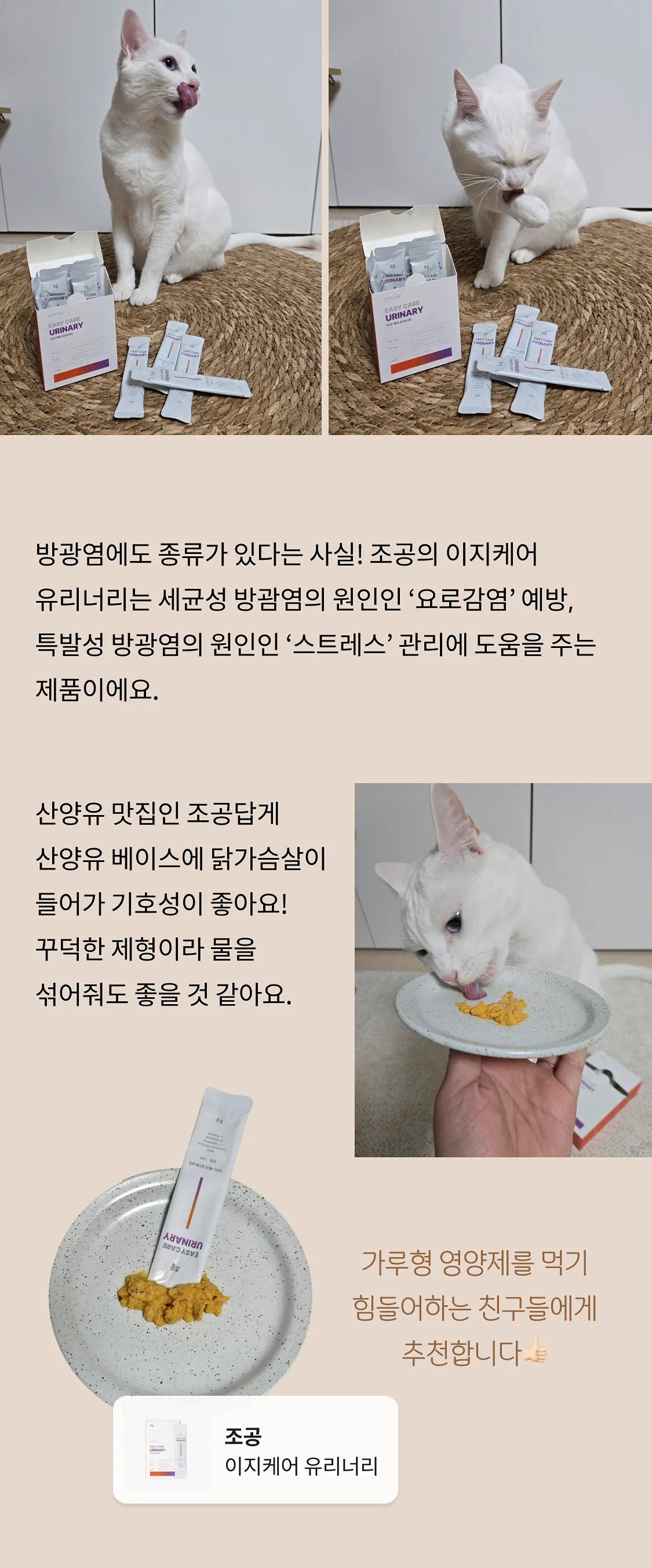 5번째 파일