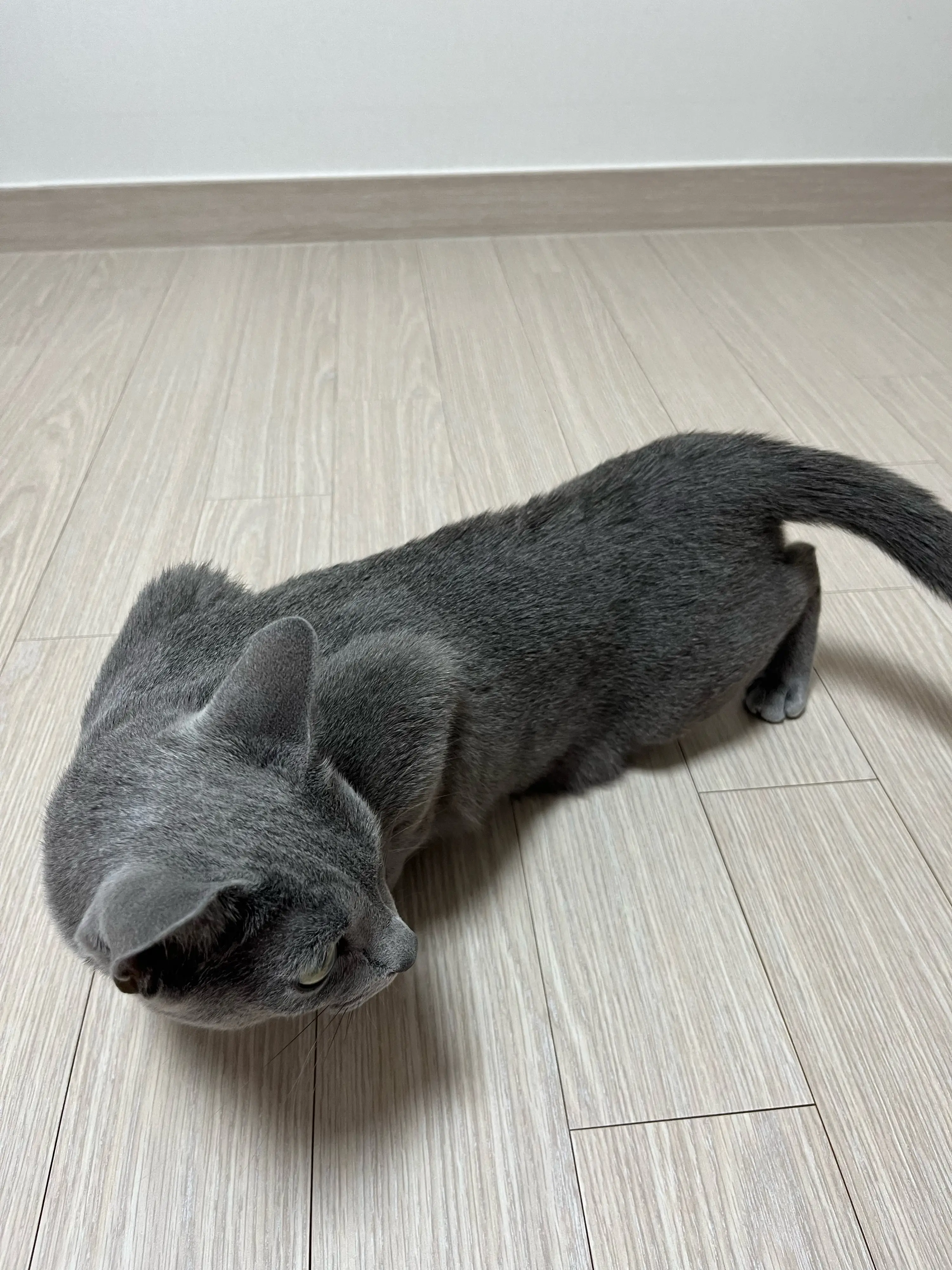 1번째 파일