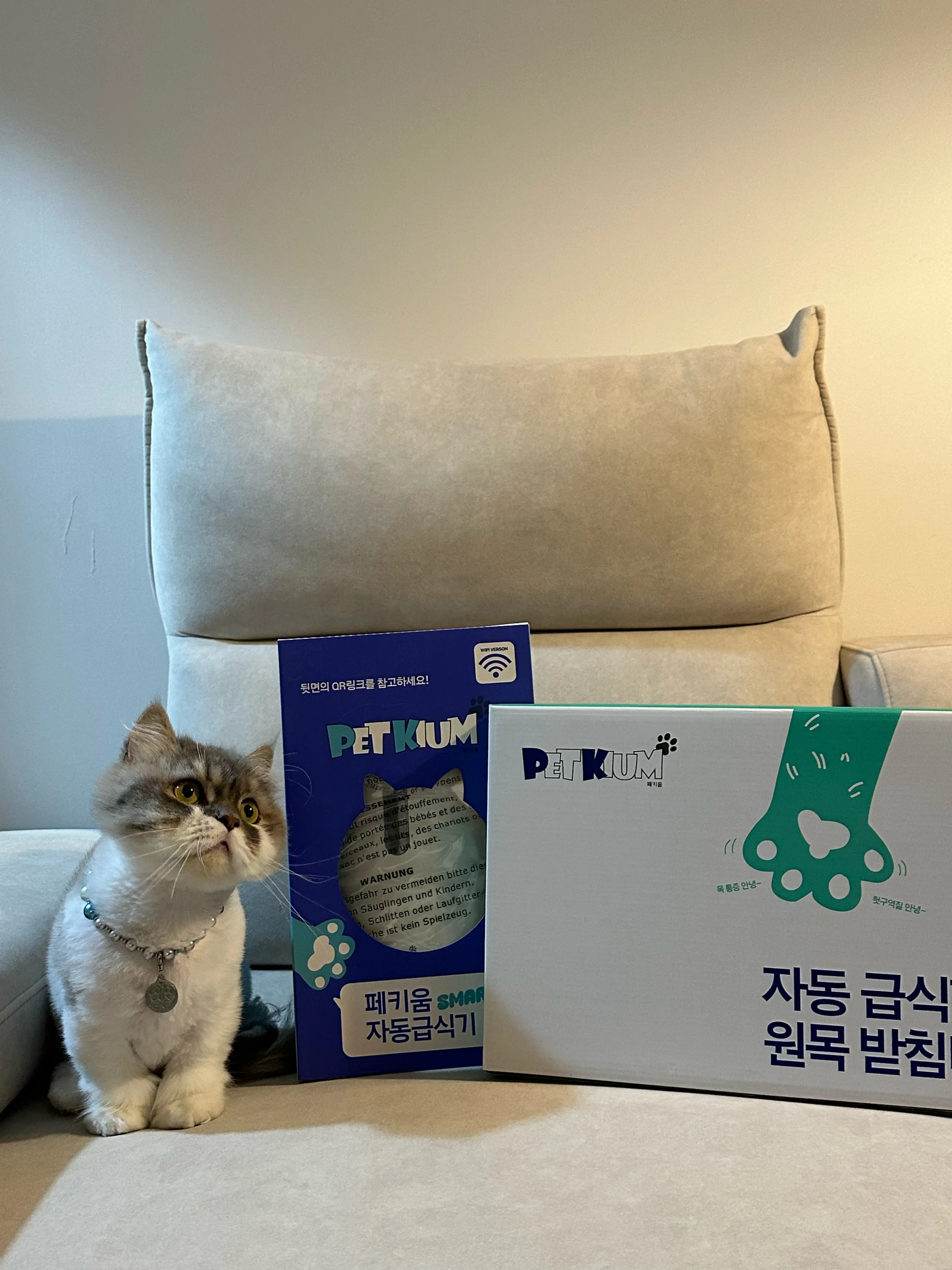 6번째 파일