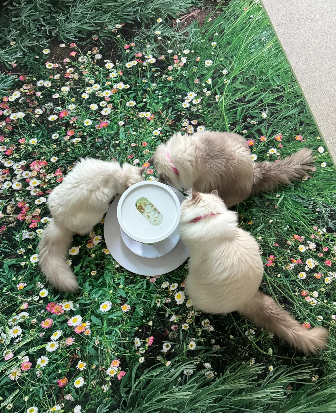 3번째 파일