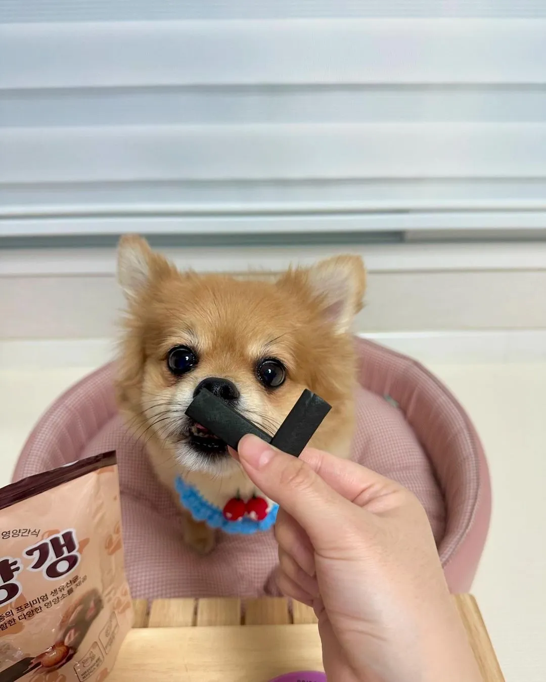 3번째 파일