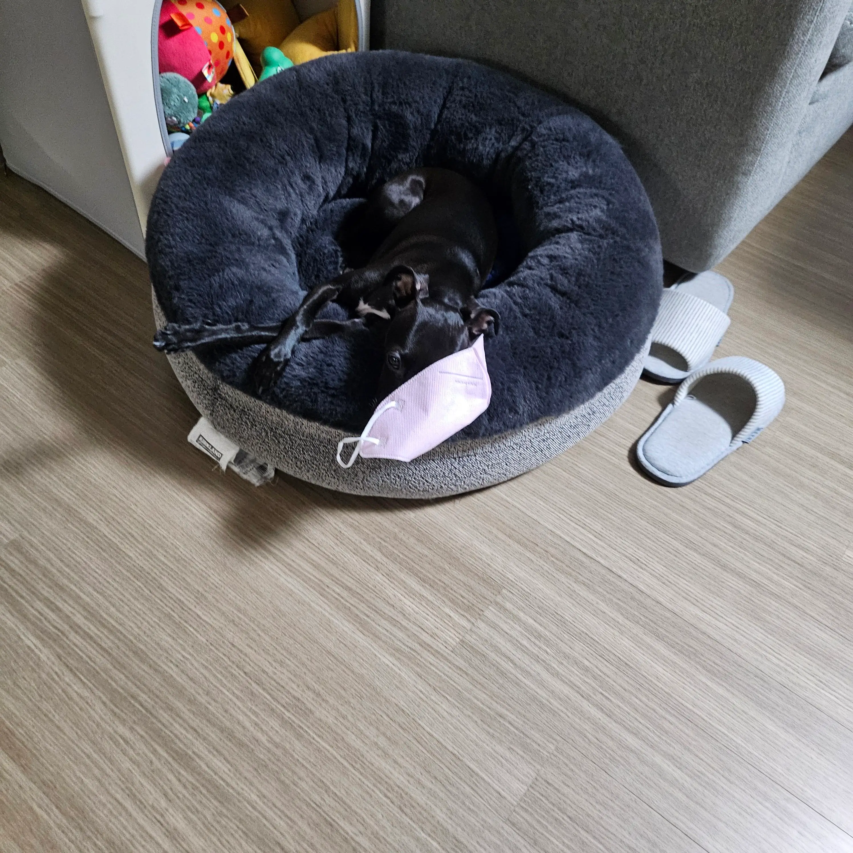 2번째 파일