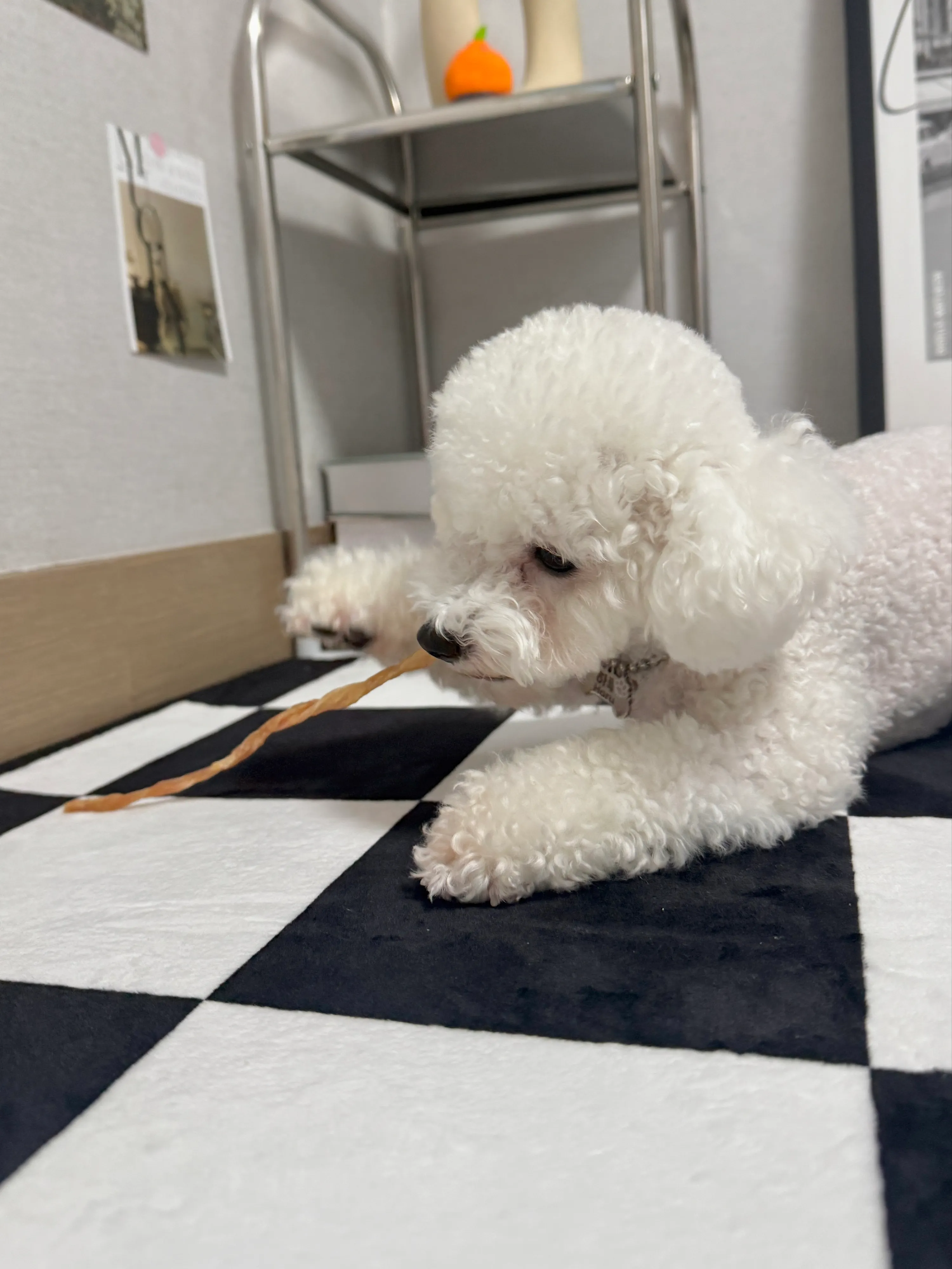 2번째 파일