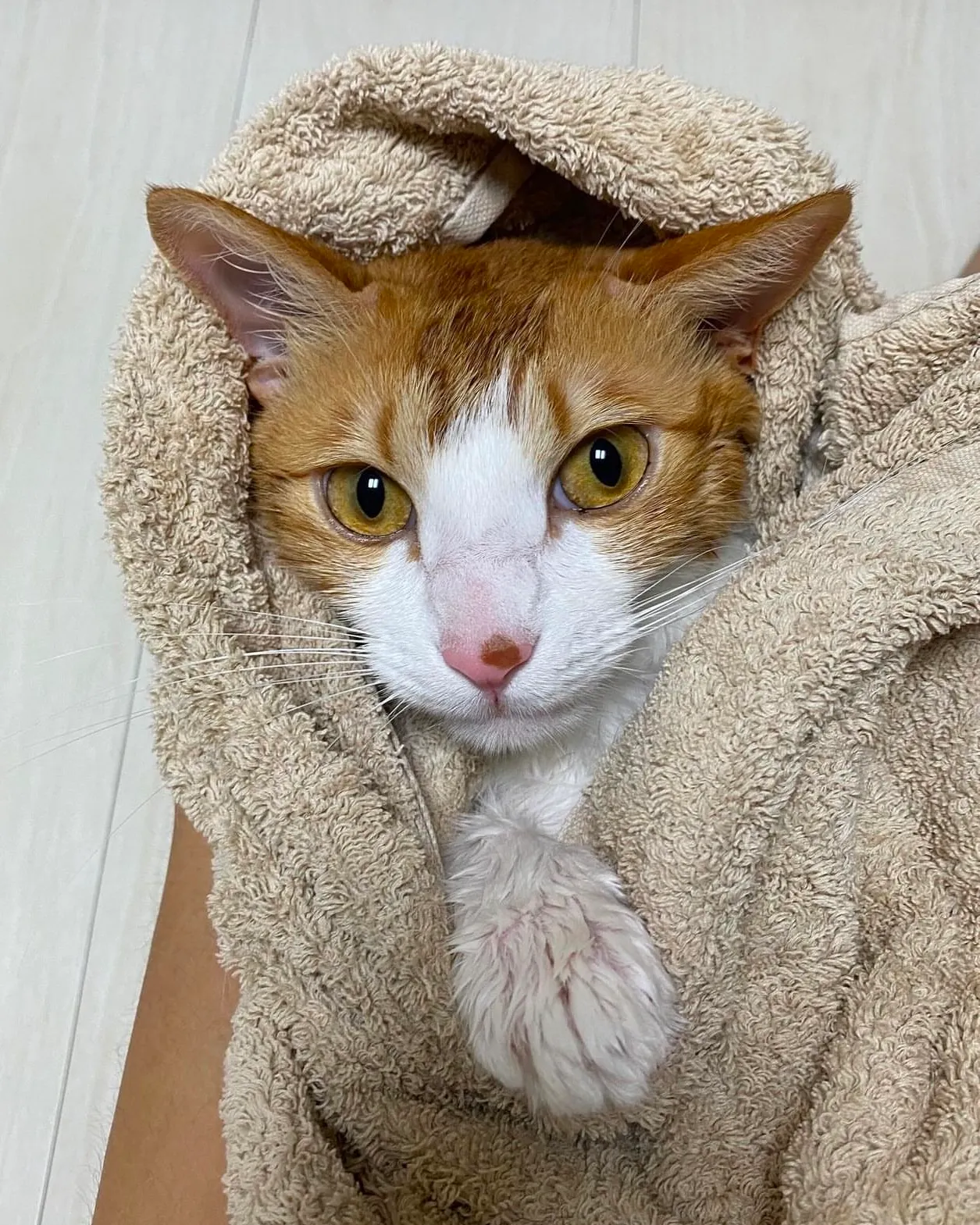 4번째 파일