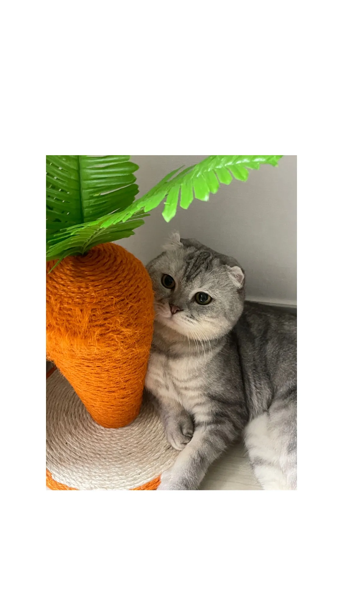 3번째 파일