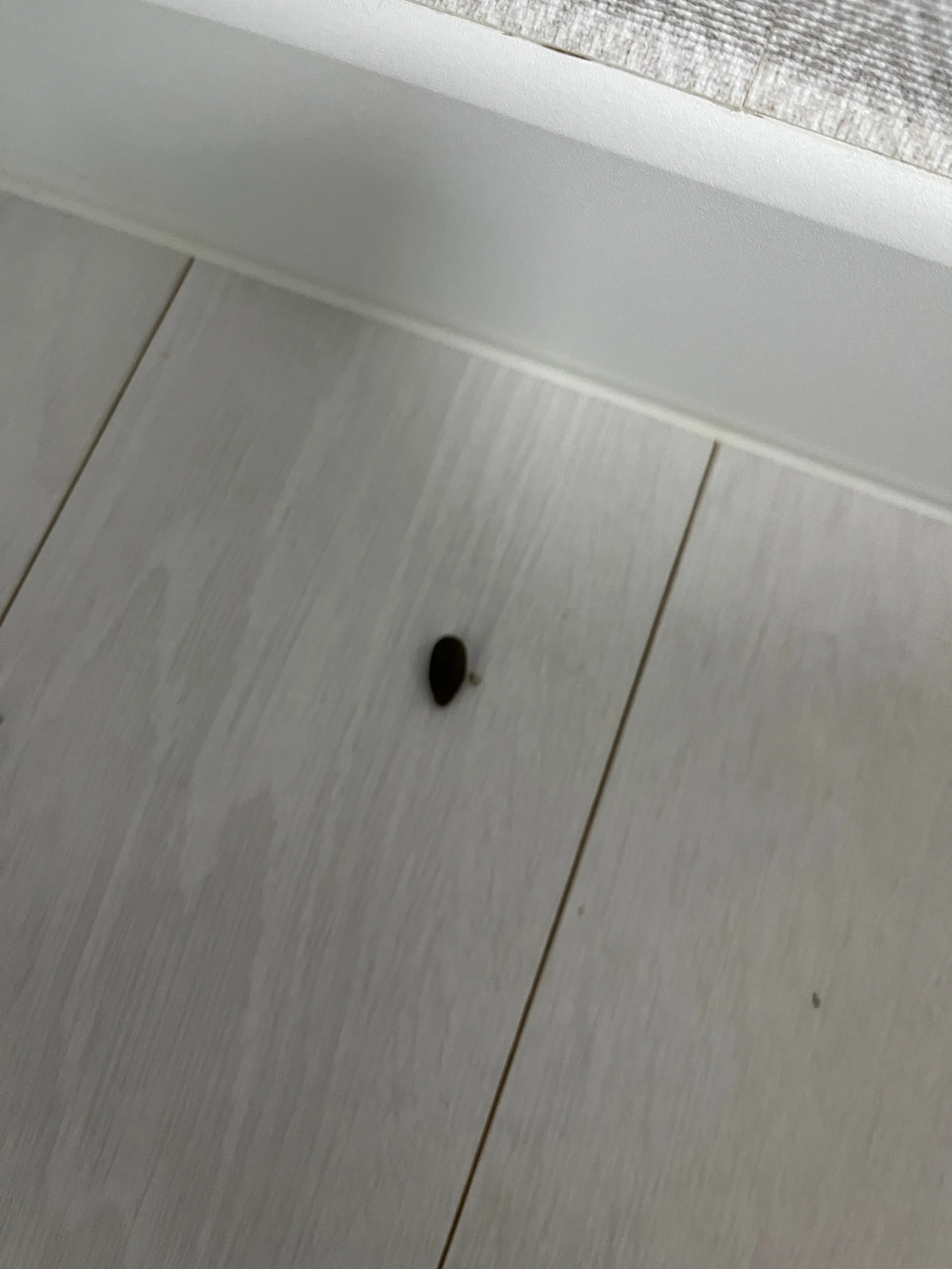 1번째 파일