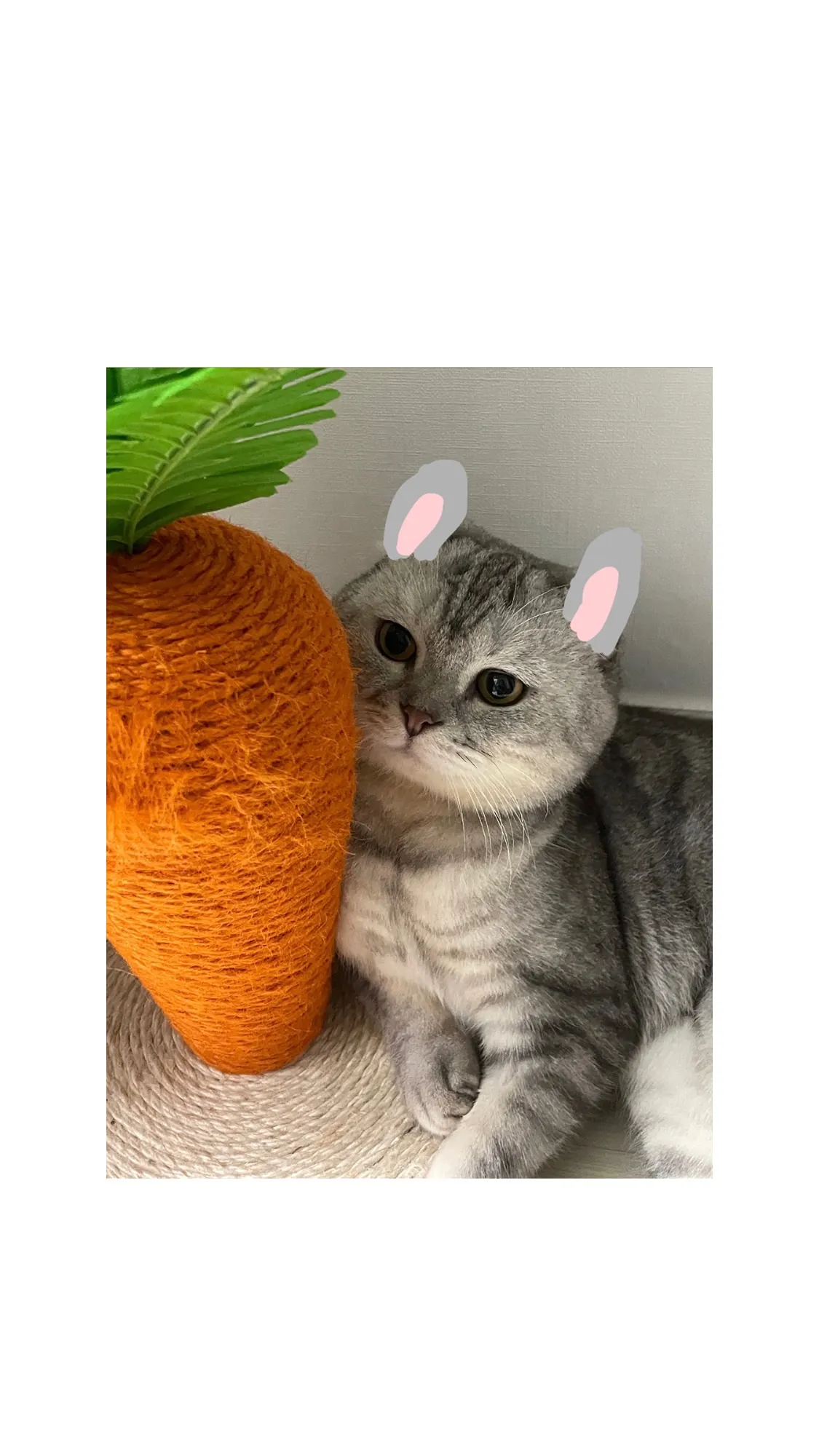 2번째 파일
