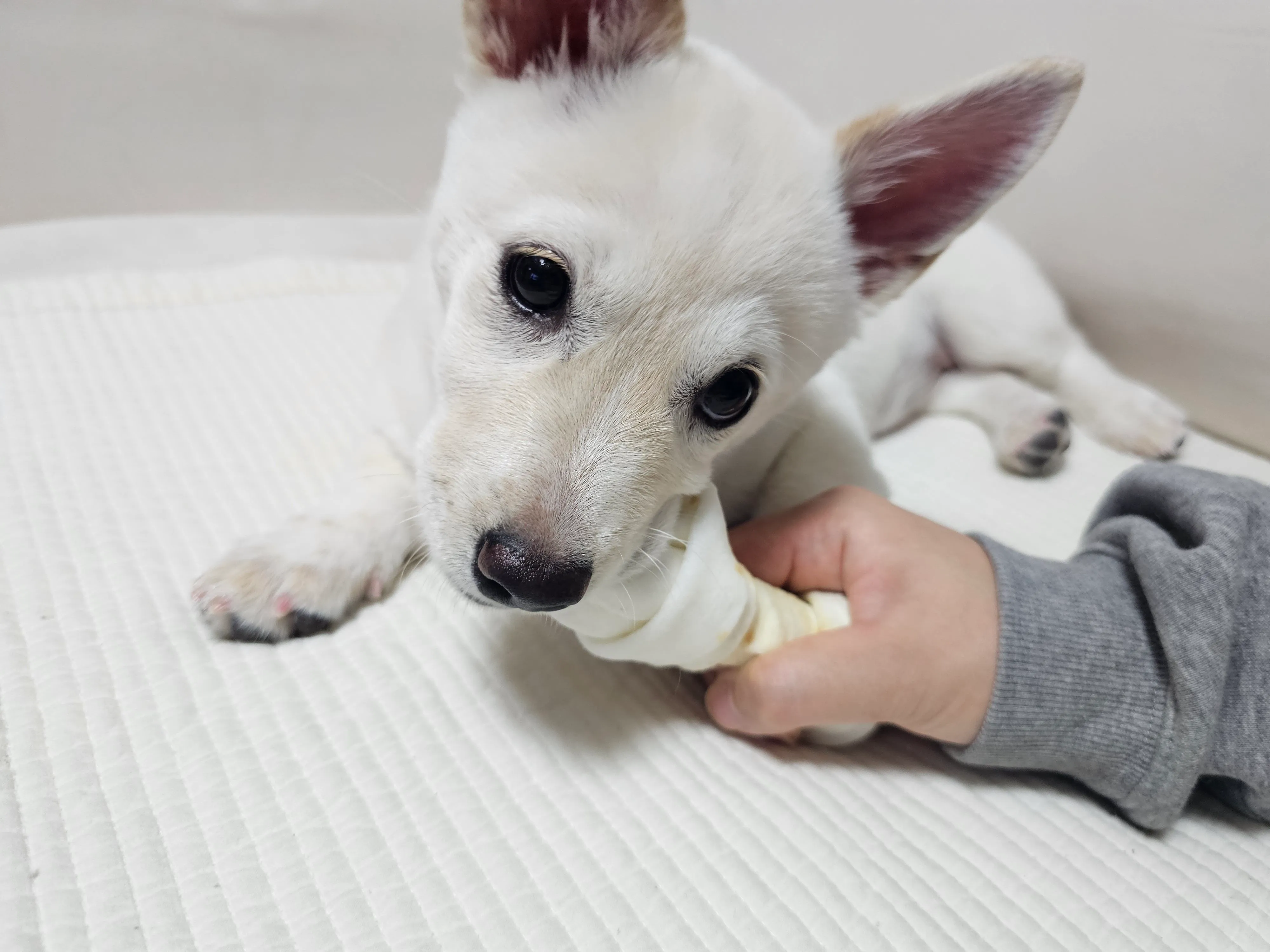 1번째 파일