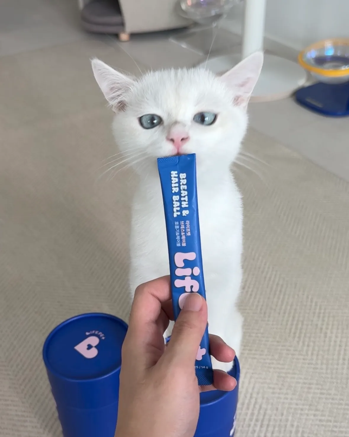 2번째 파일