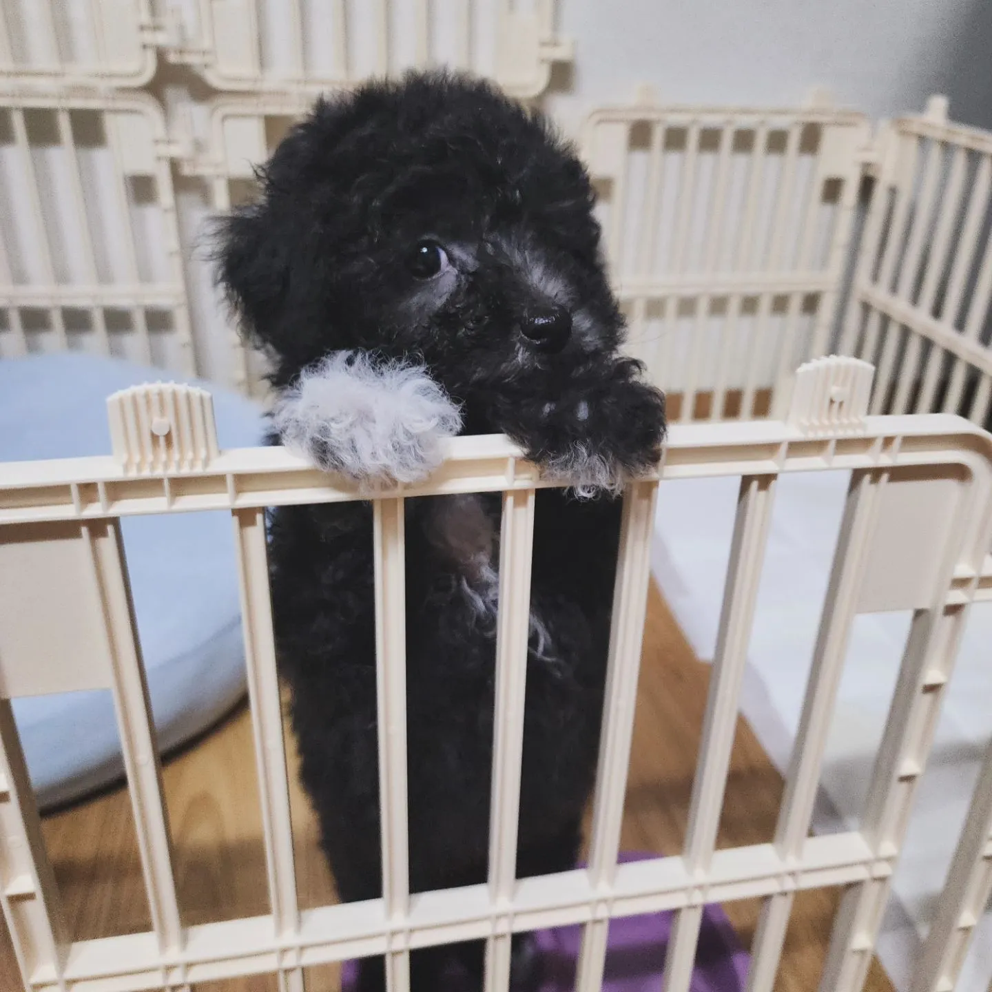 1번째 파일