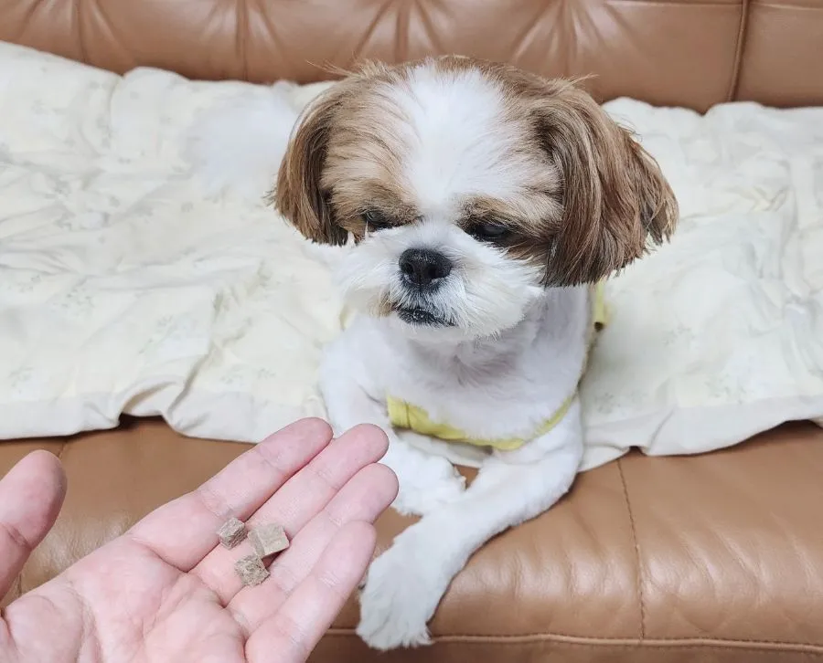 5번째 파일