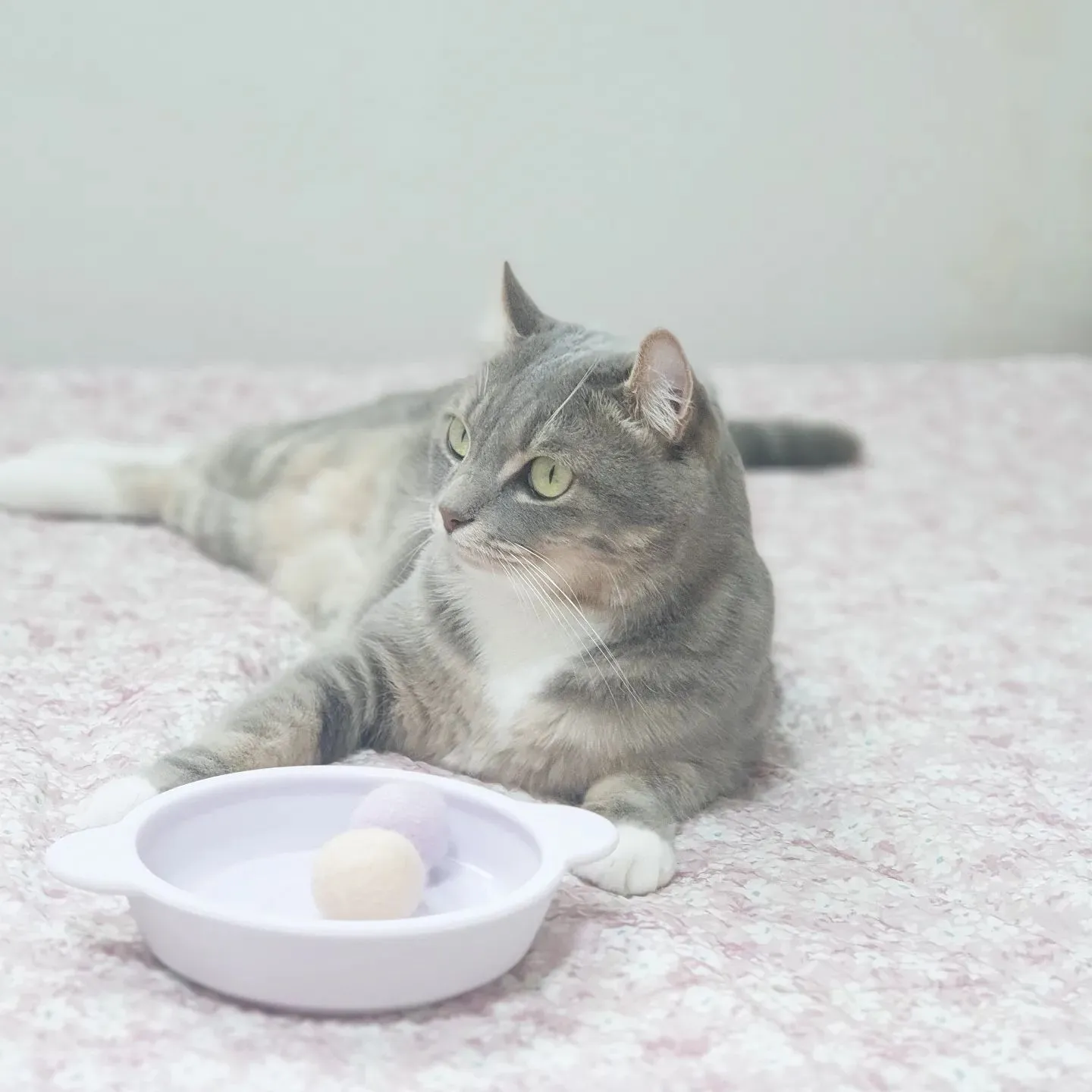 1번째 파일