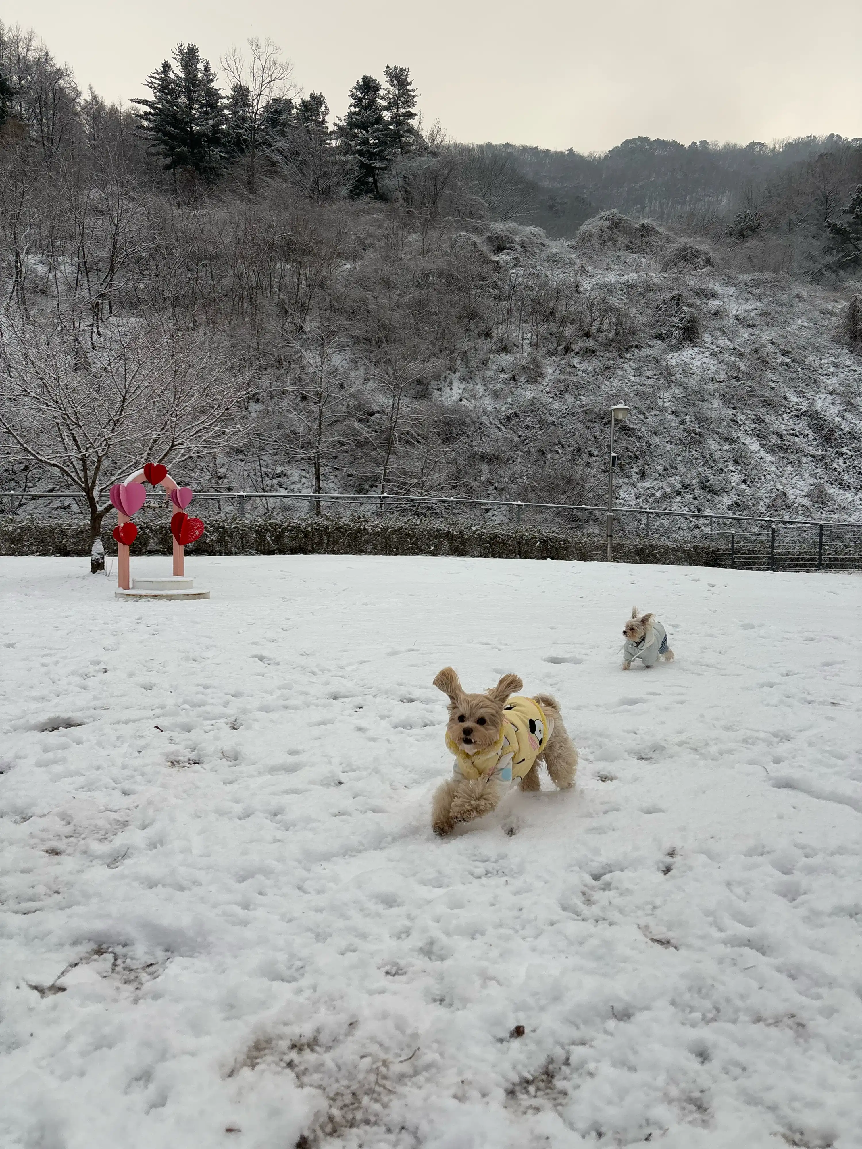 3번째 파일