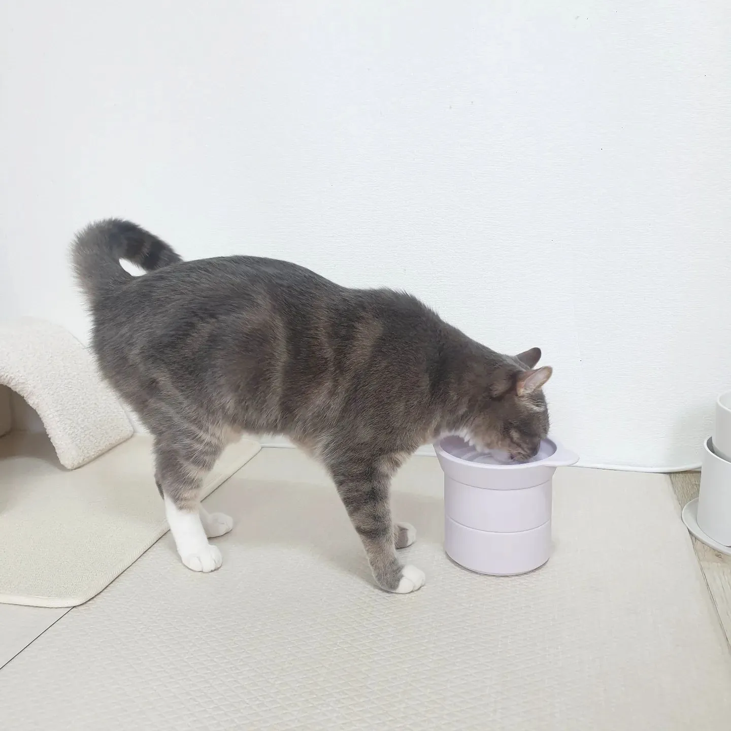 5번째 파일