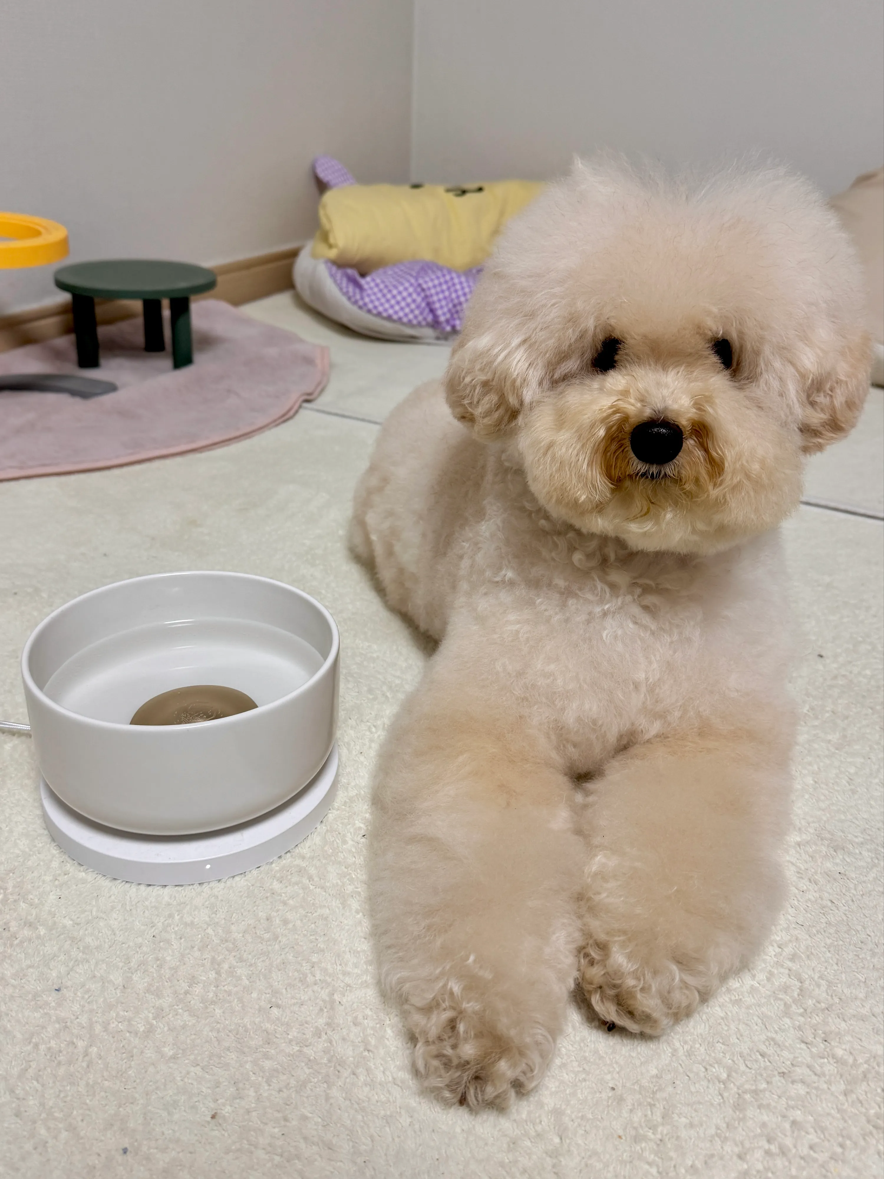 1번째 파일