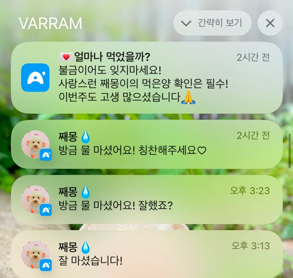 3번째 파일