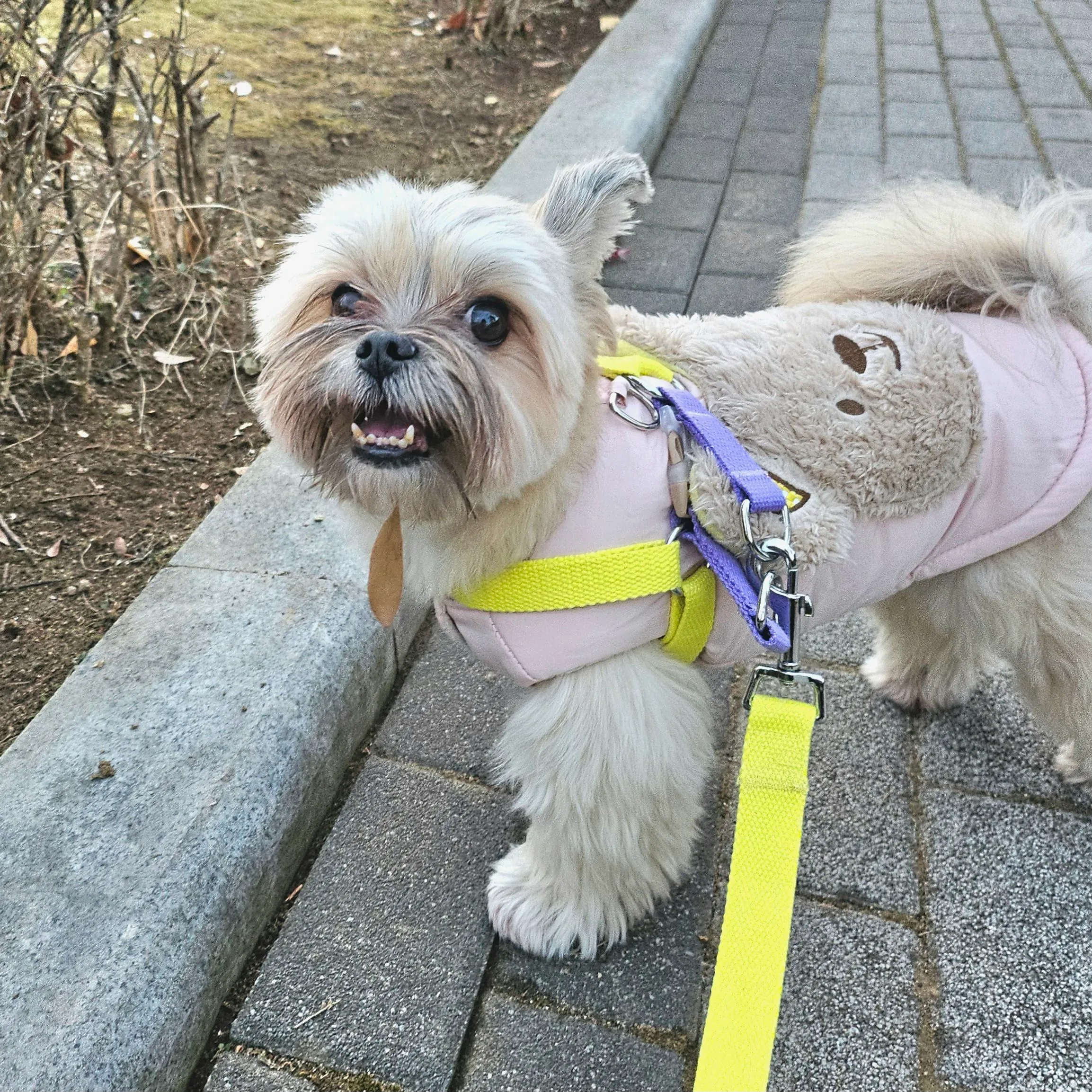 7번째 파일