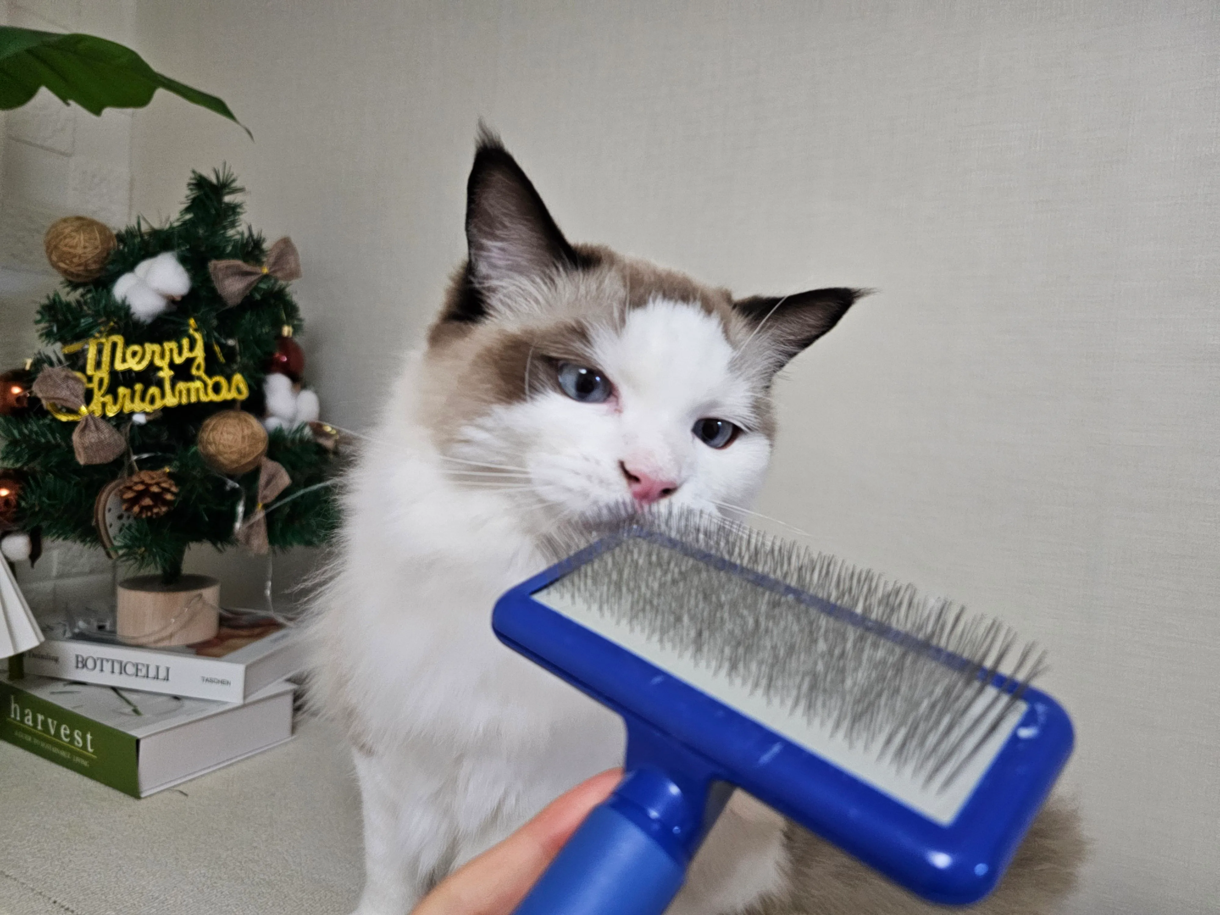 1번째 파일