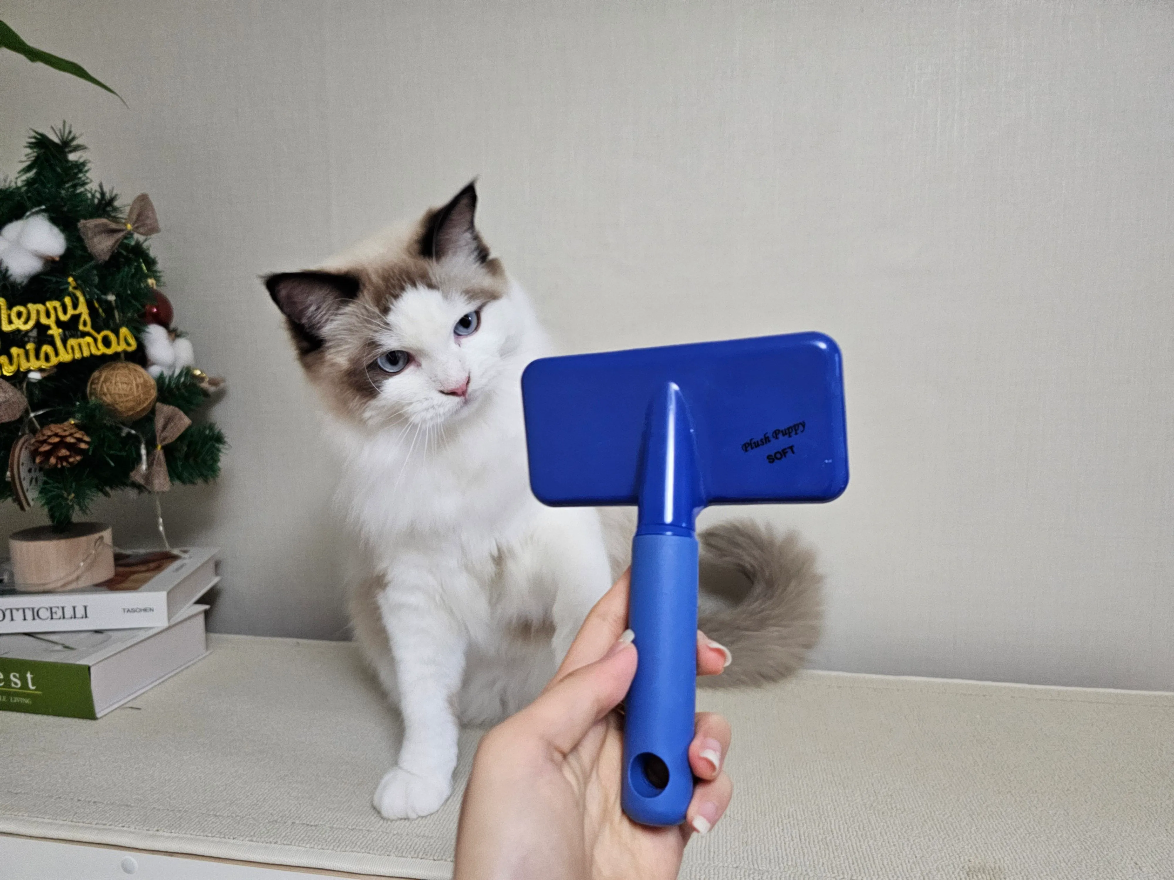 3번째 파일