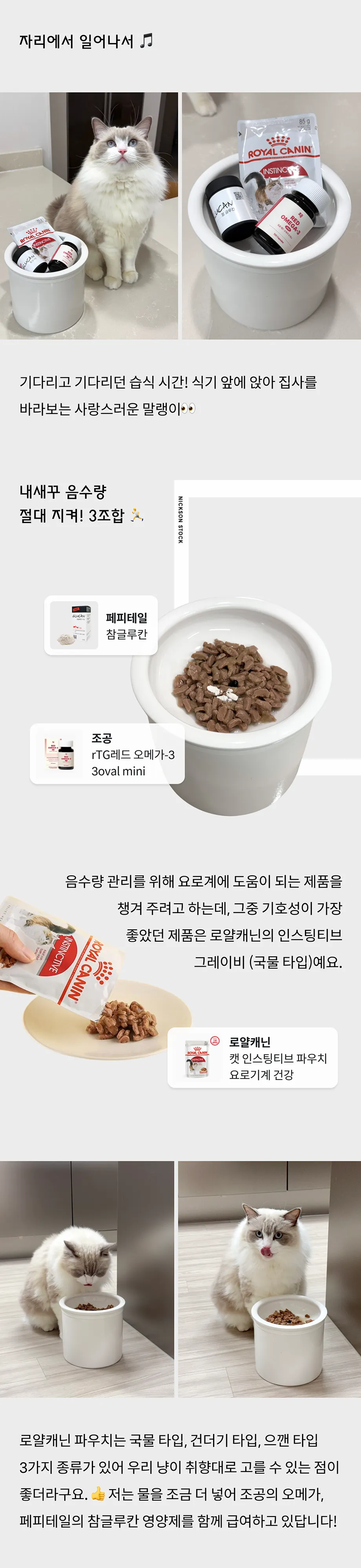 3번째 파일