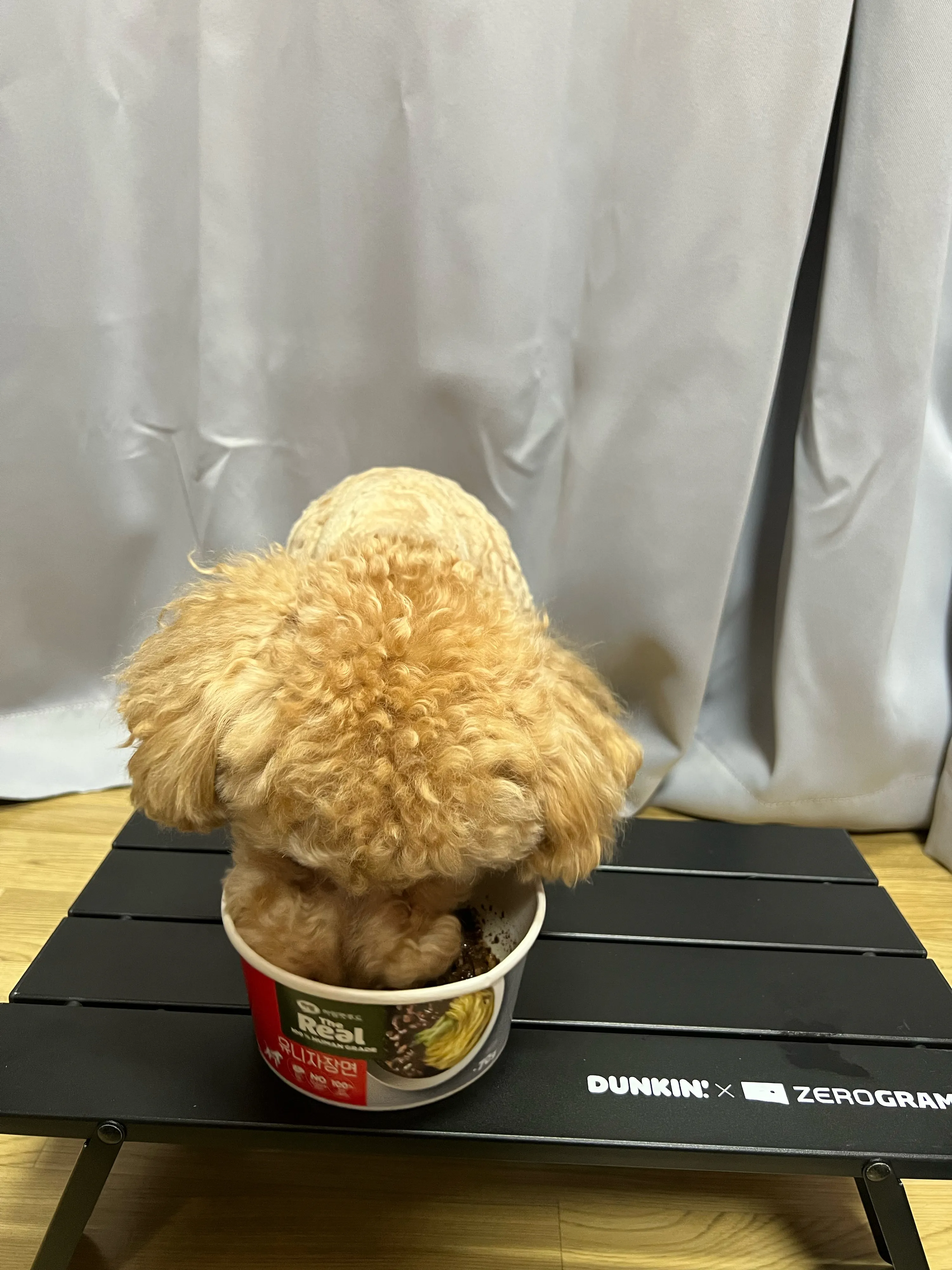 4번째 파일