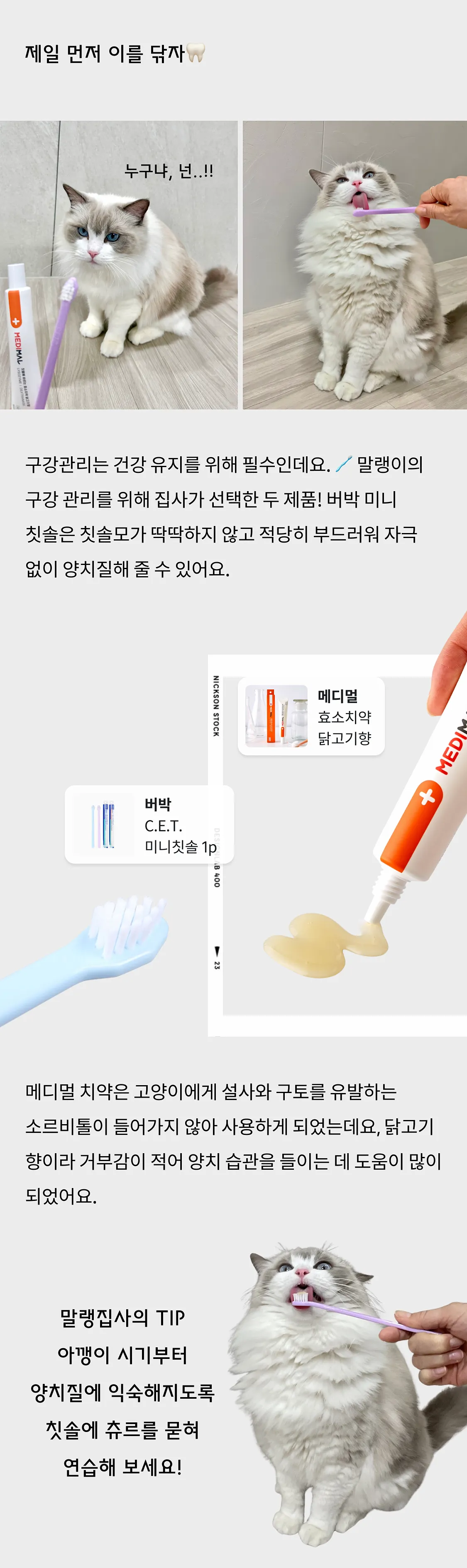 4번째 파일