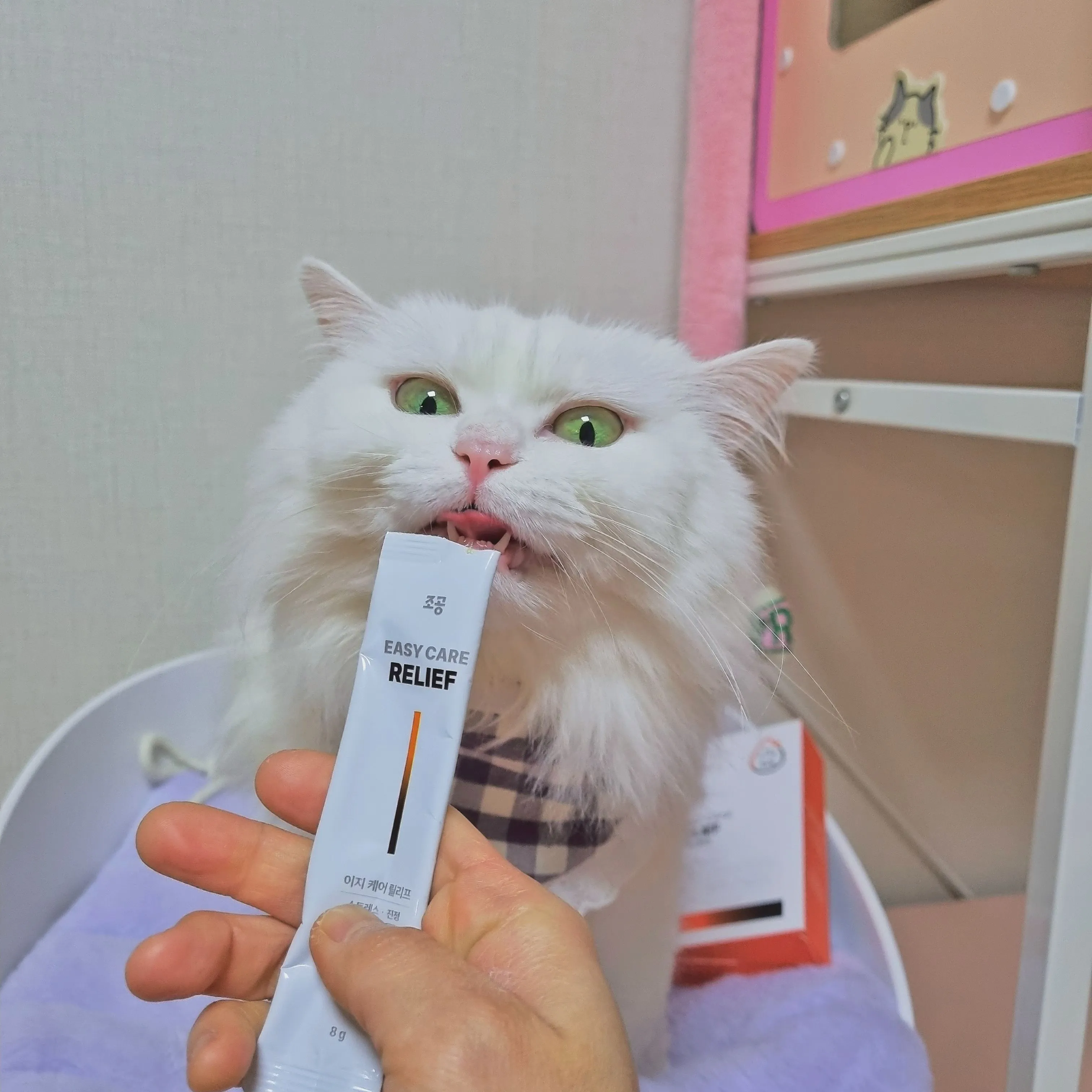 5번째 파일