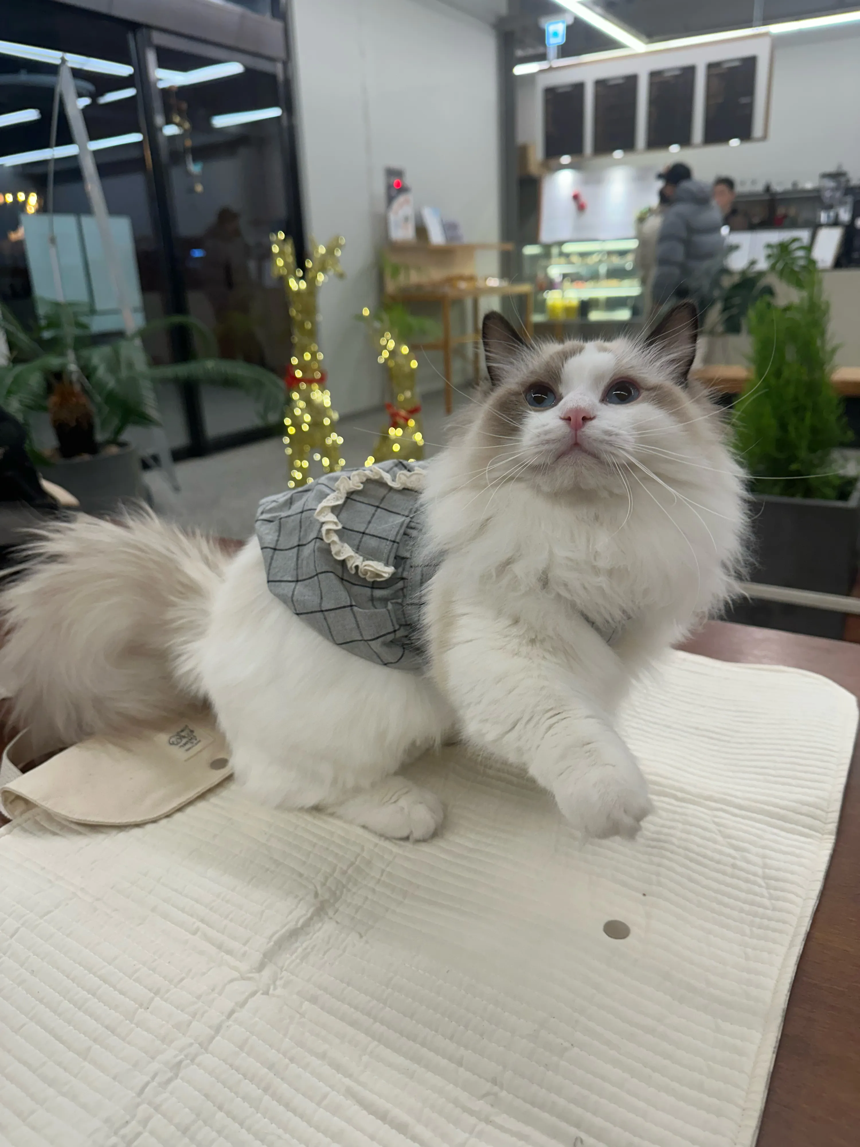 2번째 파일