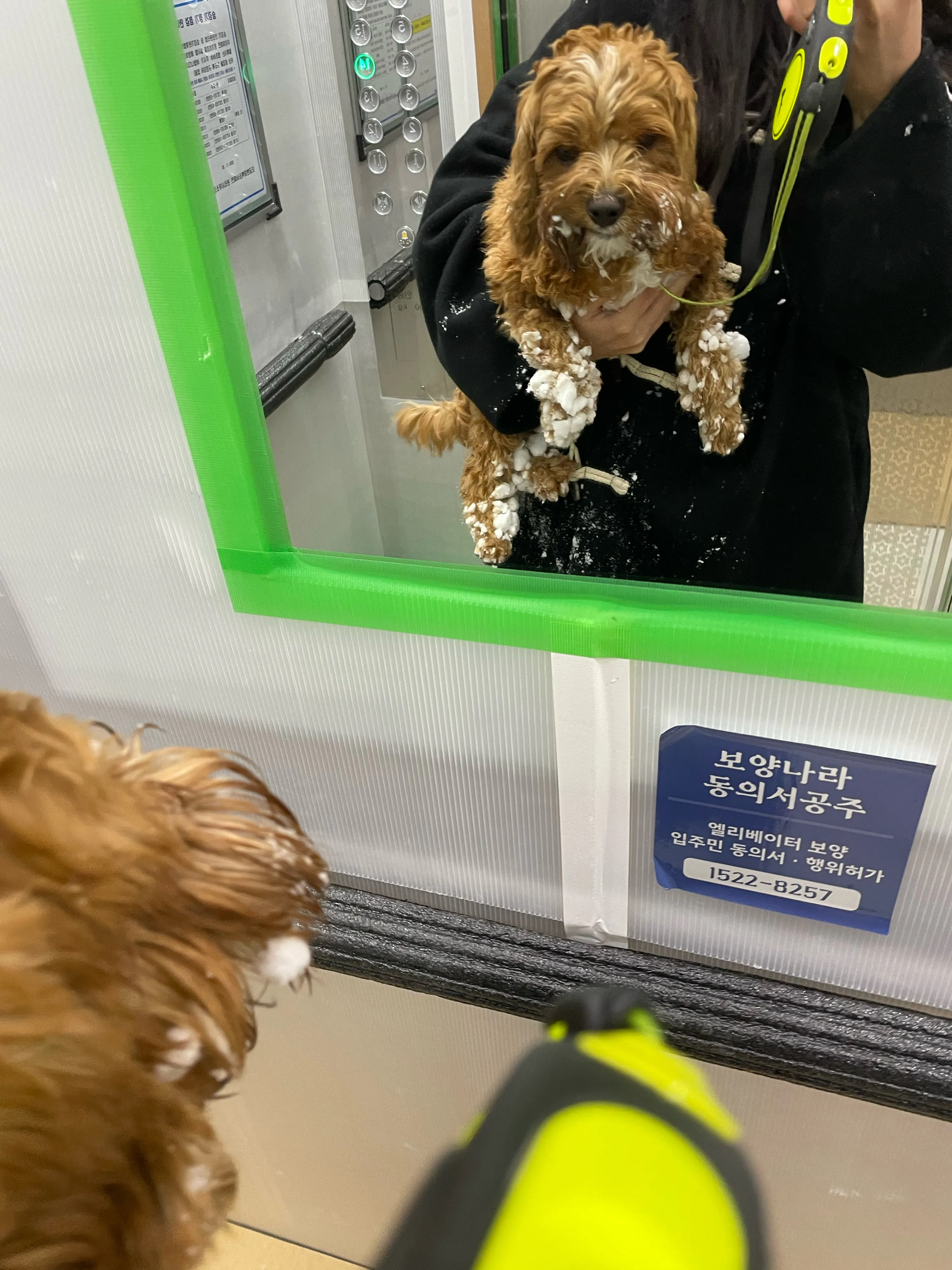 4번째 파일