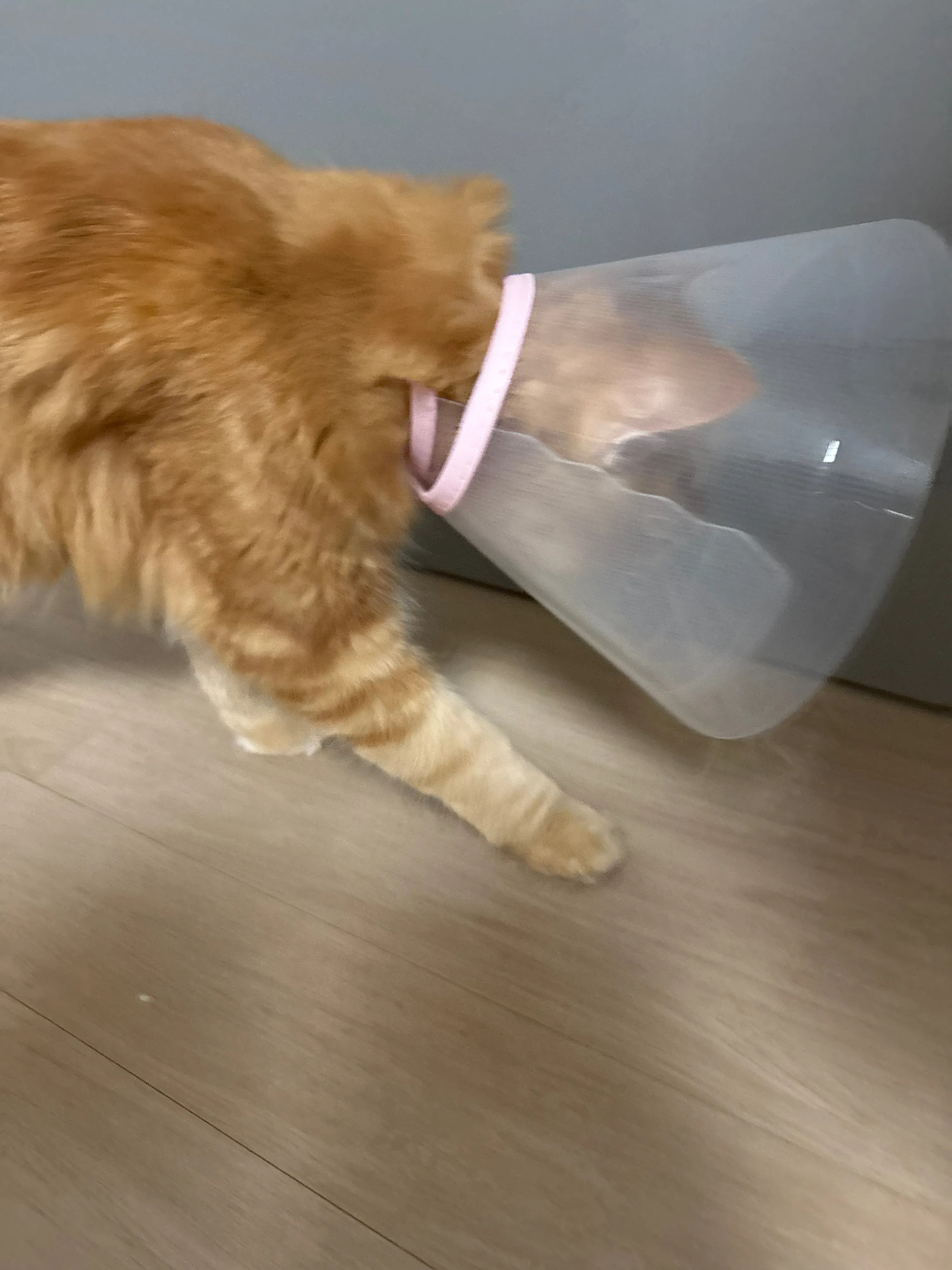 1번째 파일