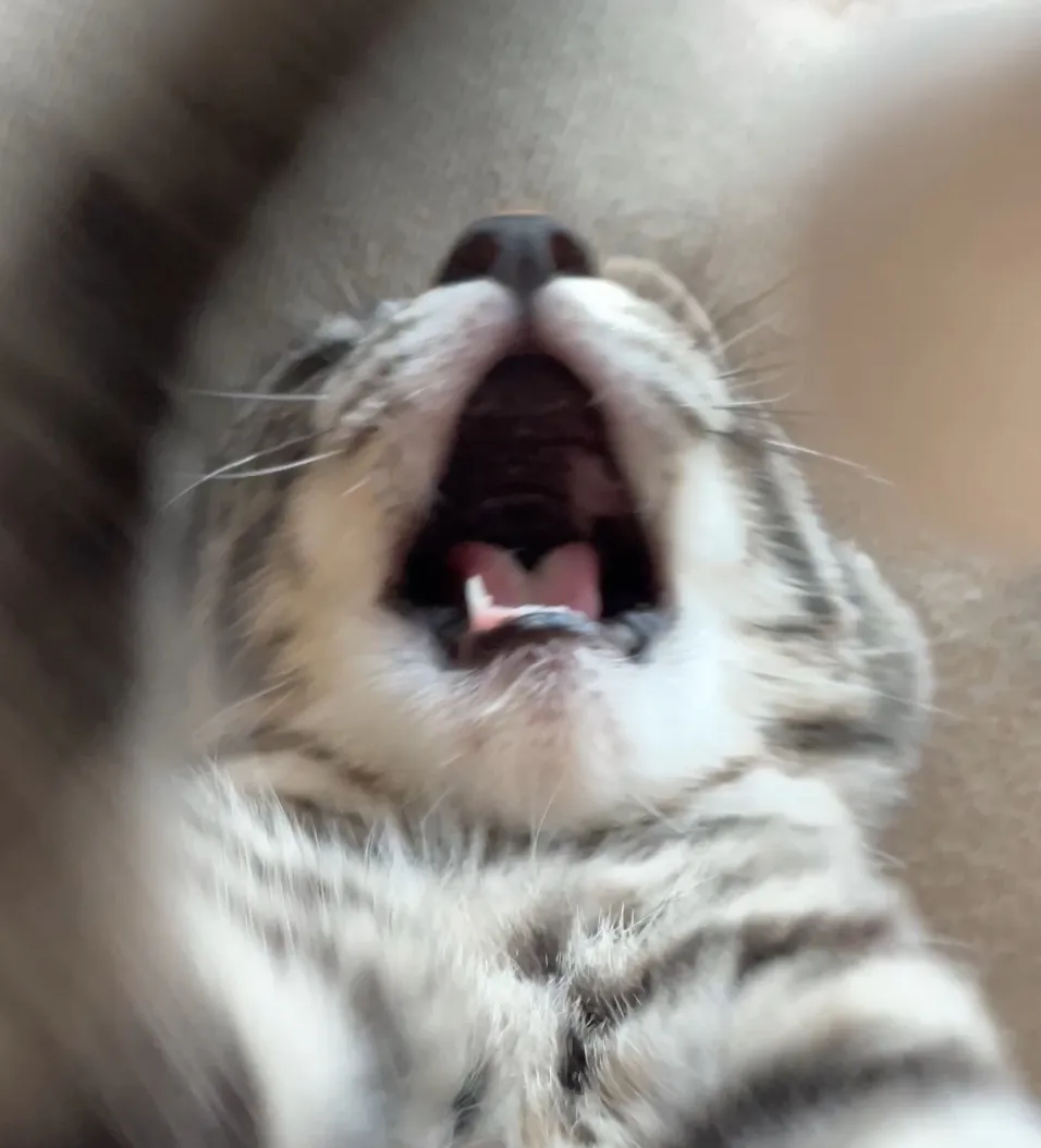 1번째 파일