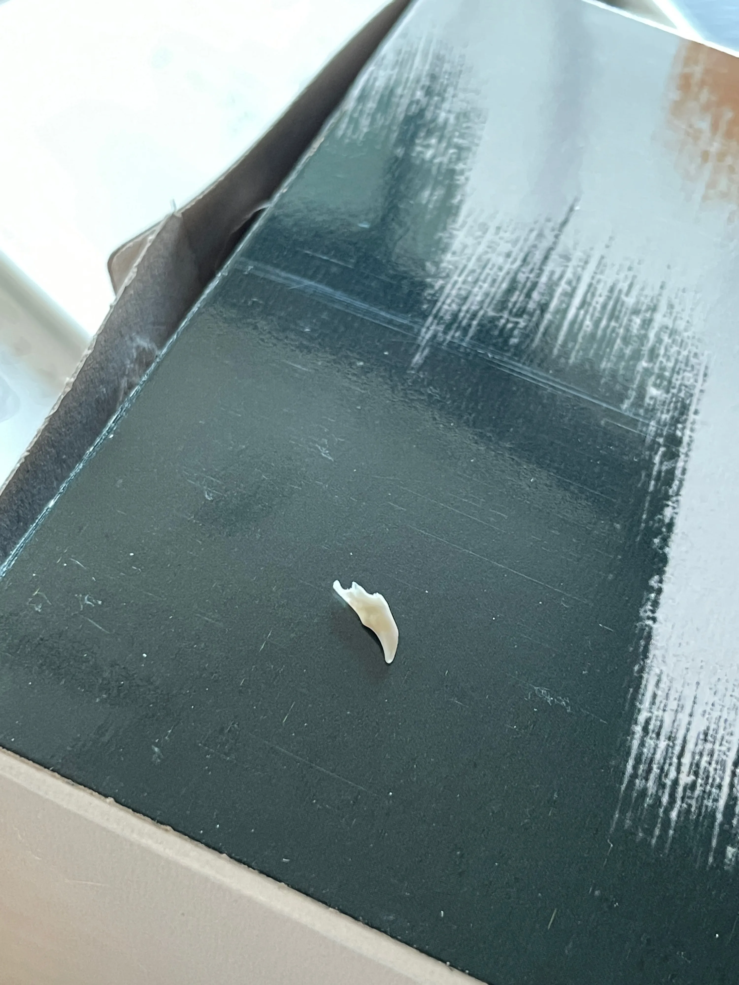 2번째 파일