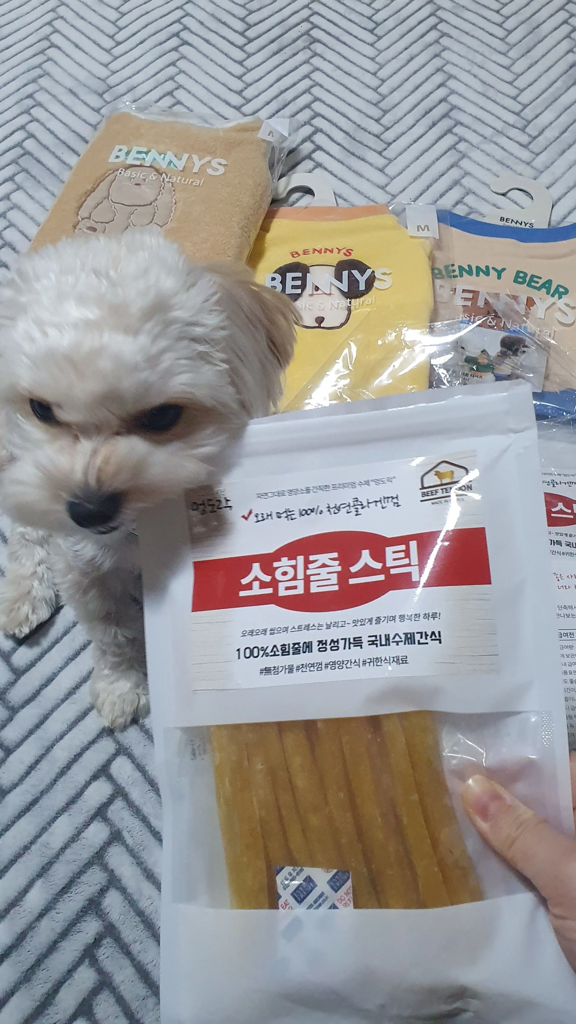 3번째 파일