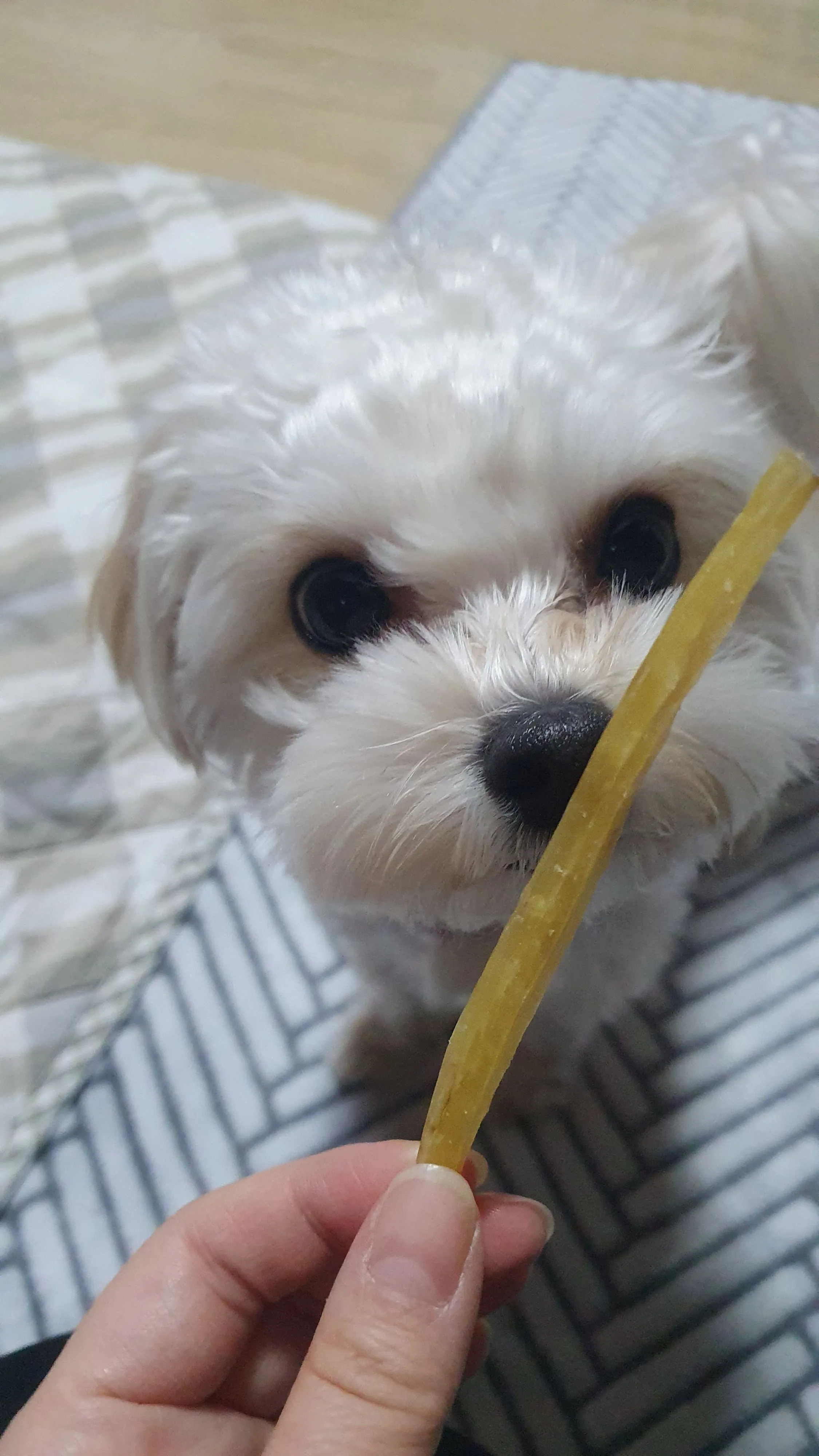 1번째 파일