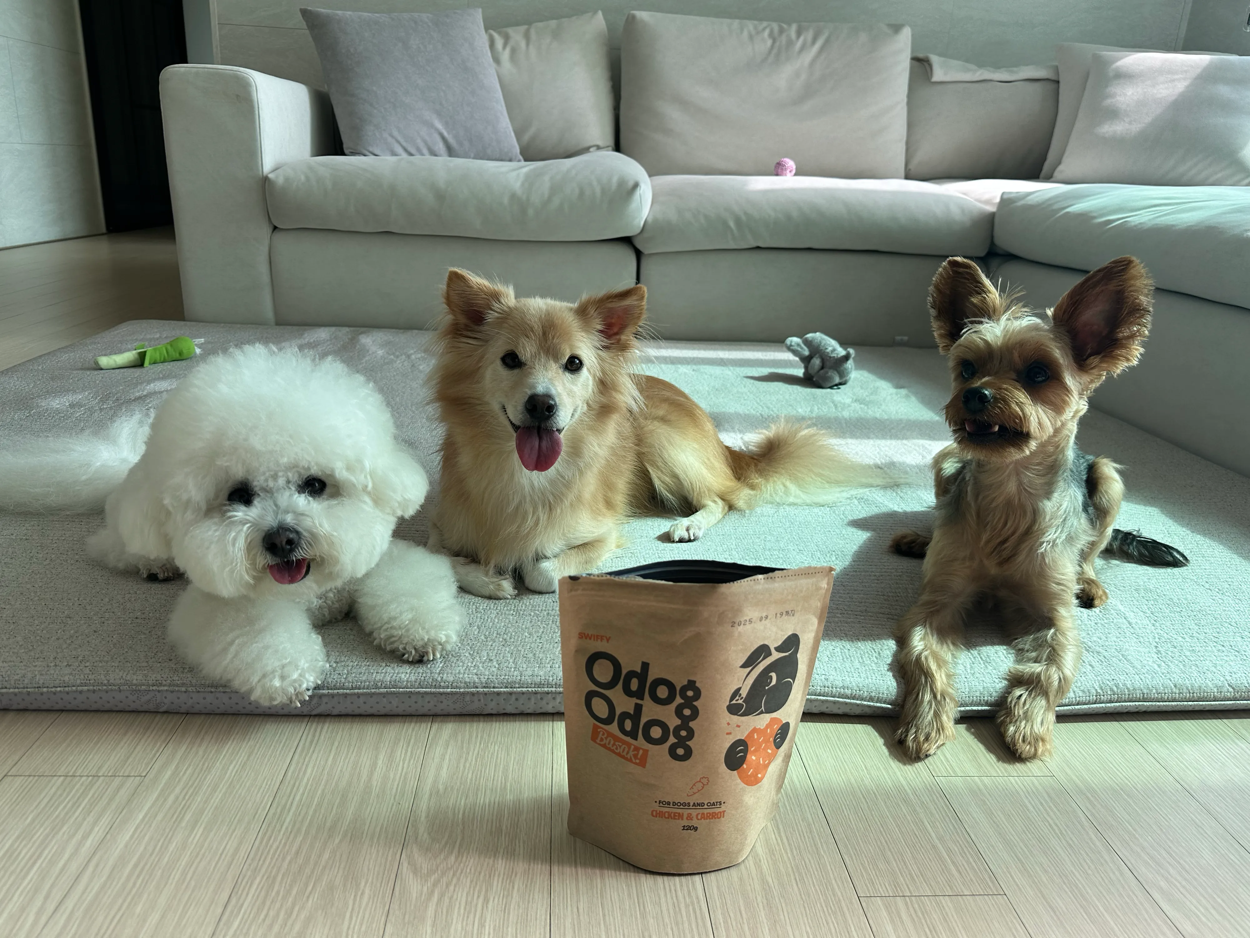7번째 파일
