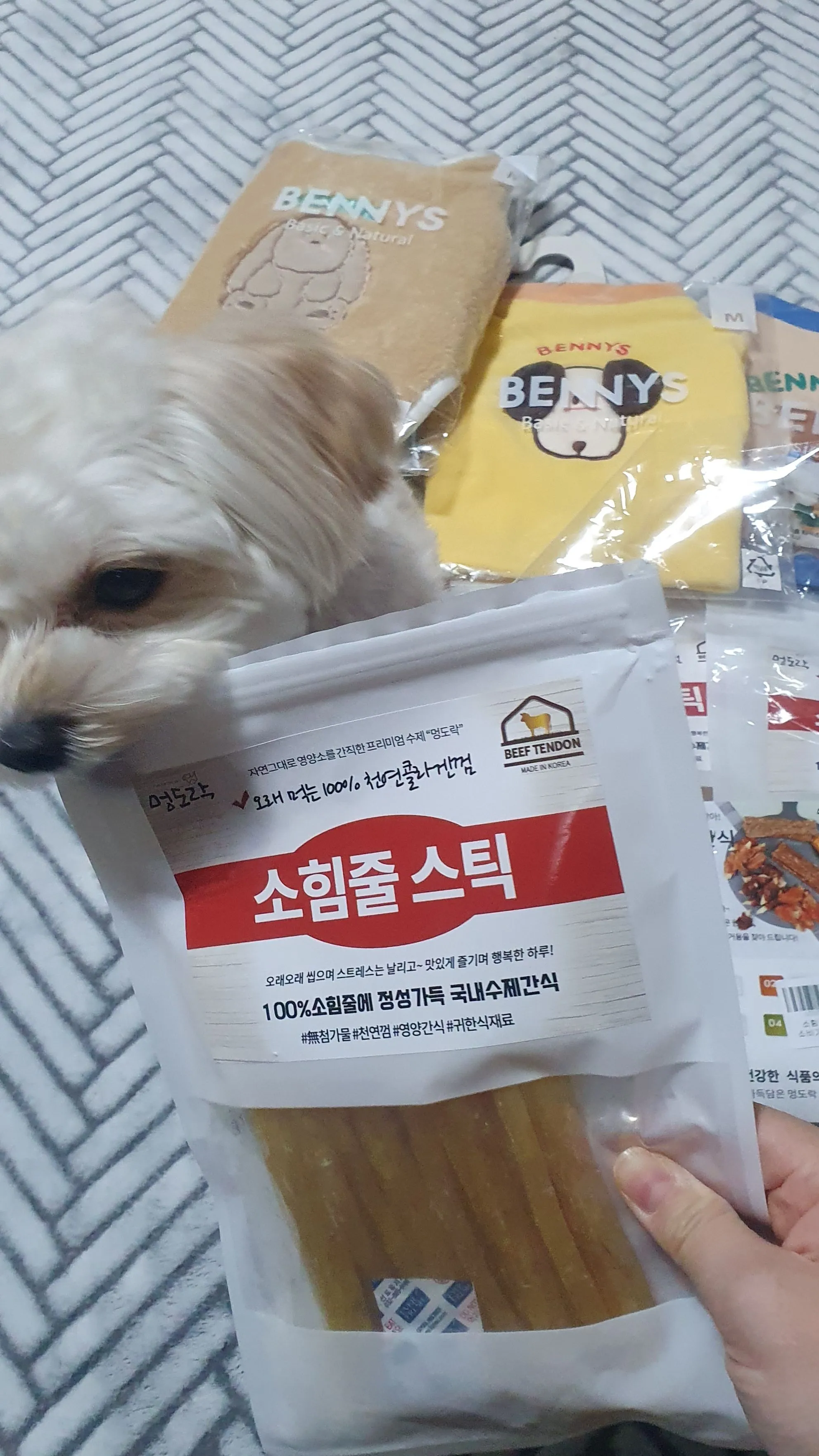 4번째 파일