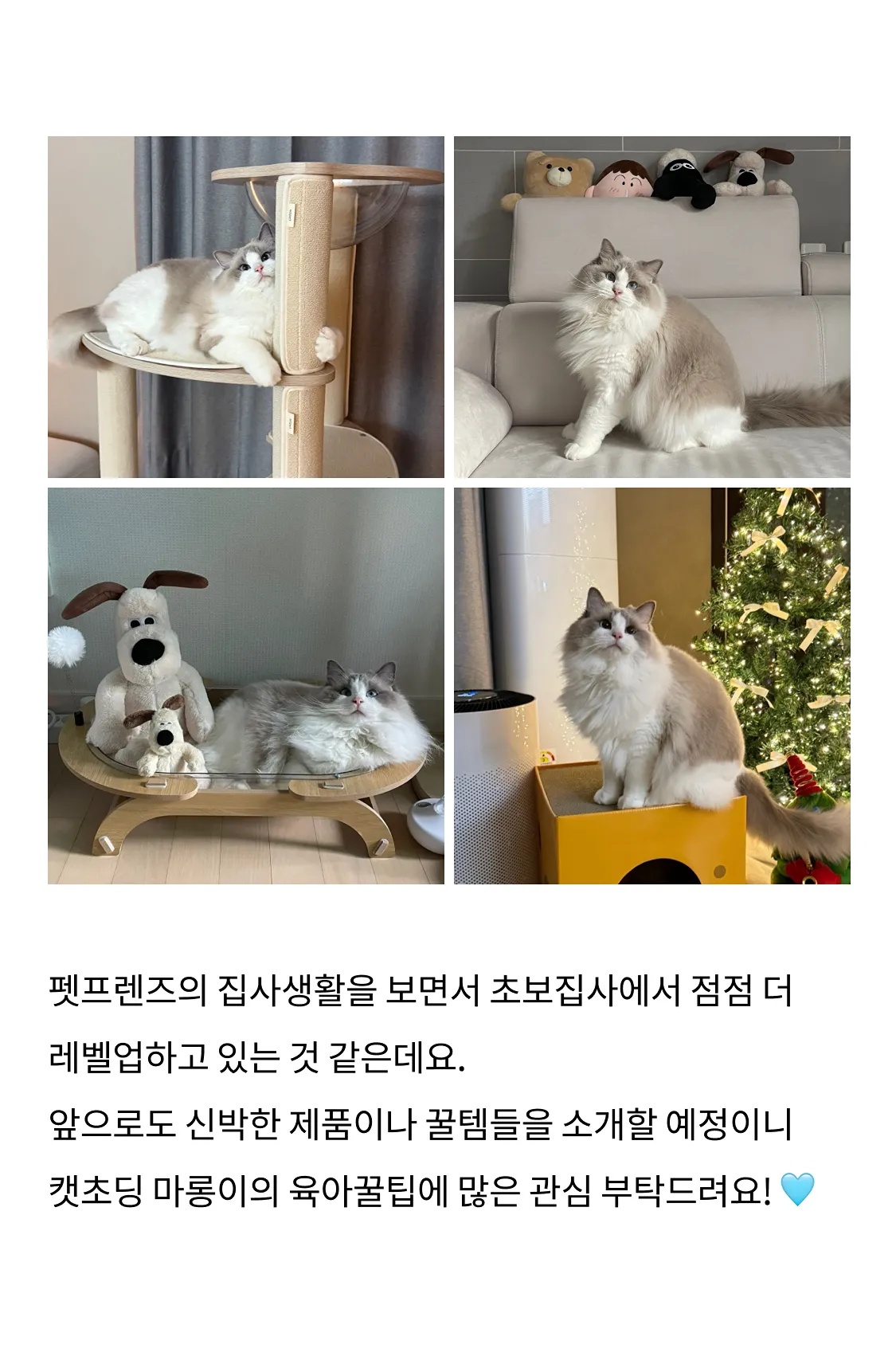 9번째 파일